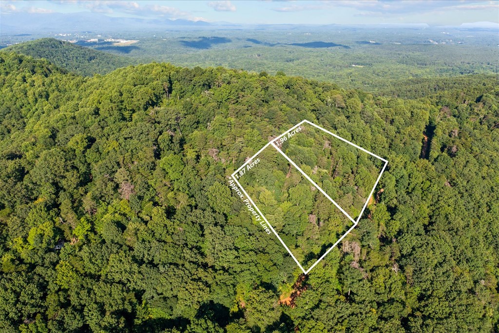 Lot 4-5 Firetower Road Jasper, GA 30143 - Photo 3 of 18