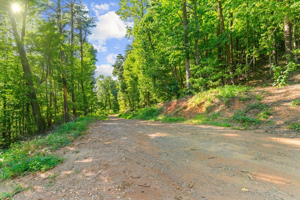 Lot 4-5 Firetower Road Jasper, GA 30143 - Photo 6 of 18