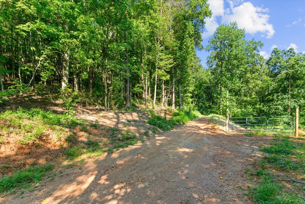 Lot 4-5 Firetower Road Jasper, GA 30143 - Photo 7 of 18