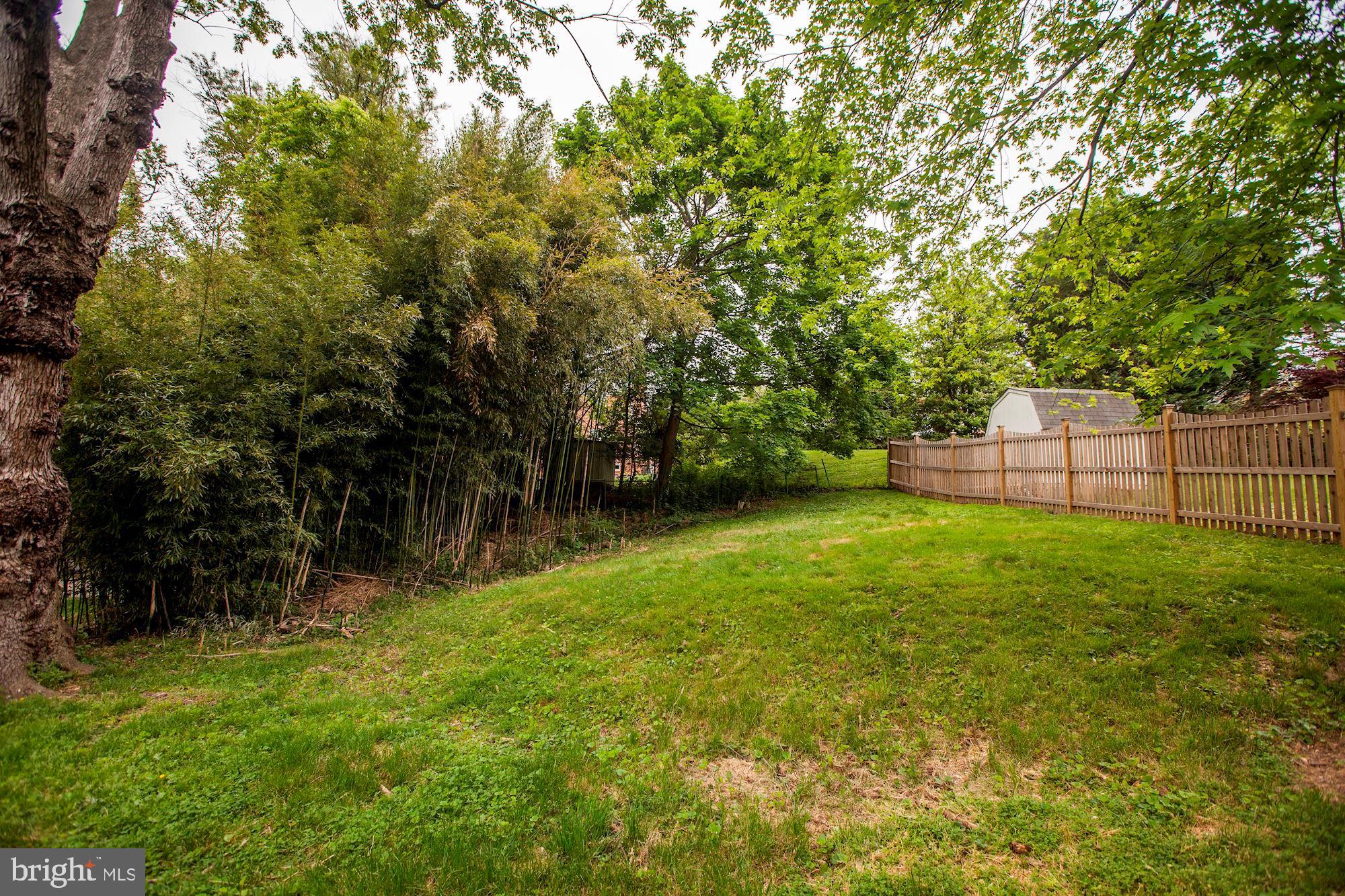 4625 Edgefield Road Bethesda, MD 20814 - Photo 25 of 27 Plenty of room to expand