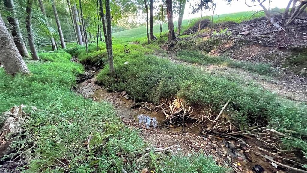 295 Adams Ridge Road State Road, NC 28676 - Photo 14 of 50 Gallery Image 14