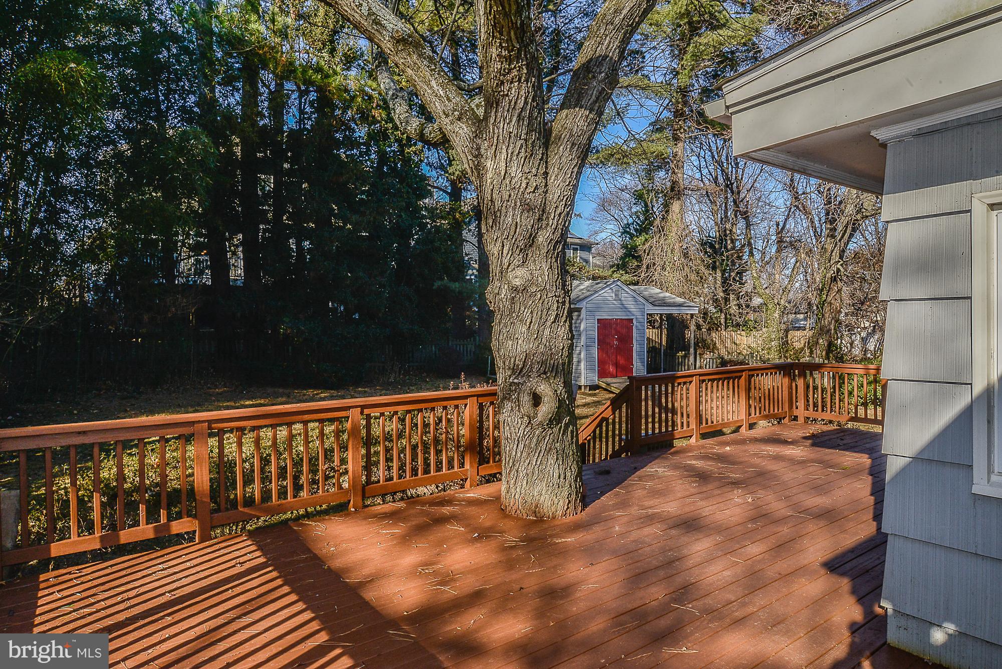 310 Cabin Road Southeast Vienna, VA 22180 - Photo 24 of 27 Exterior (Rear)