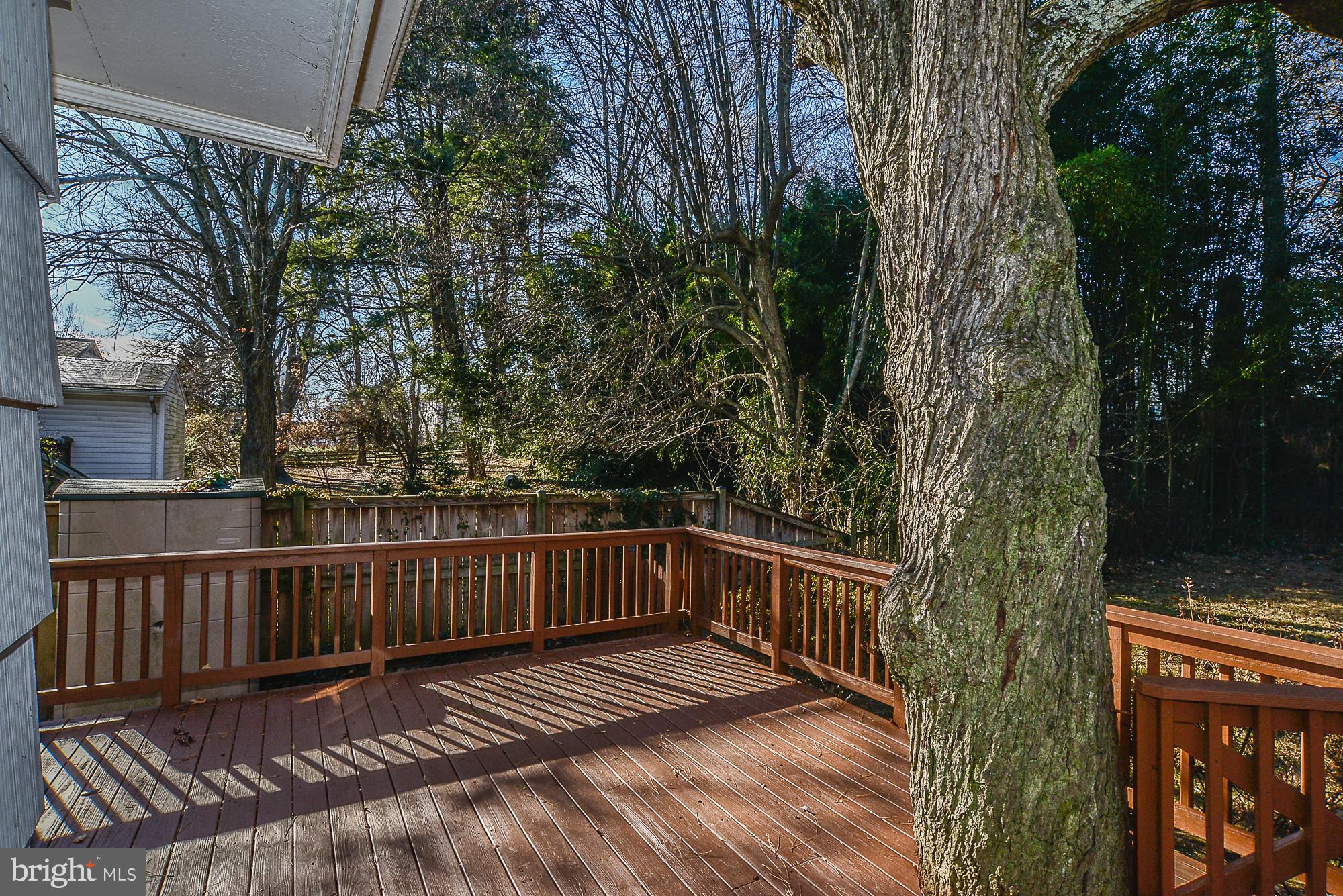 310 Cabin Road Southeast Vienna, VA 22180 - Photo 25 of 27 Exterior (Rear)