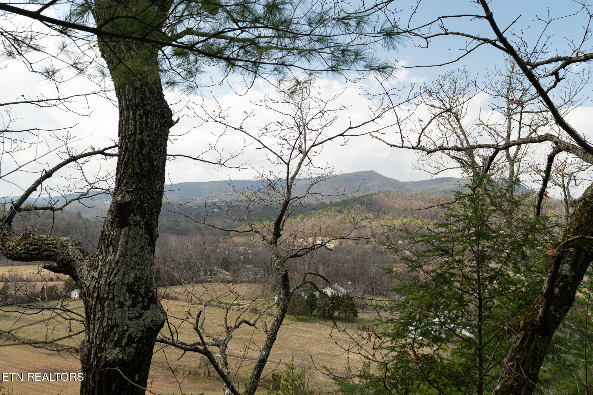 1734 Summit View Way Pigeon Forge, TN 37862 - Photo 31 of 41 untitled-30