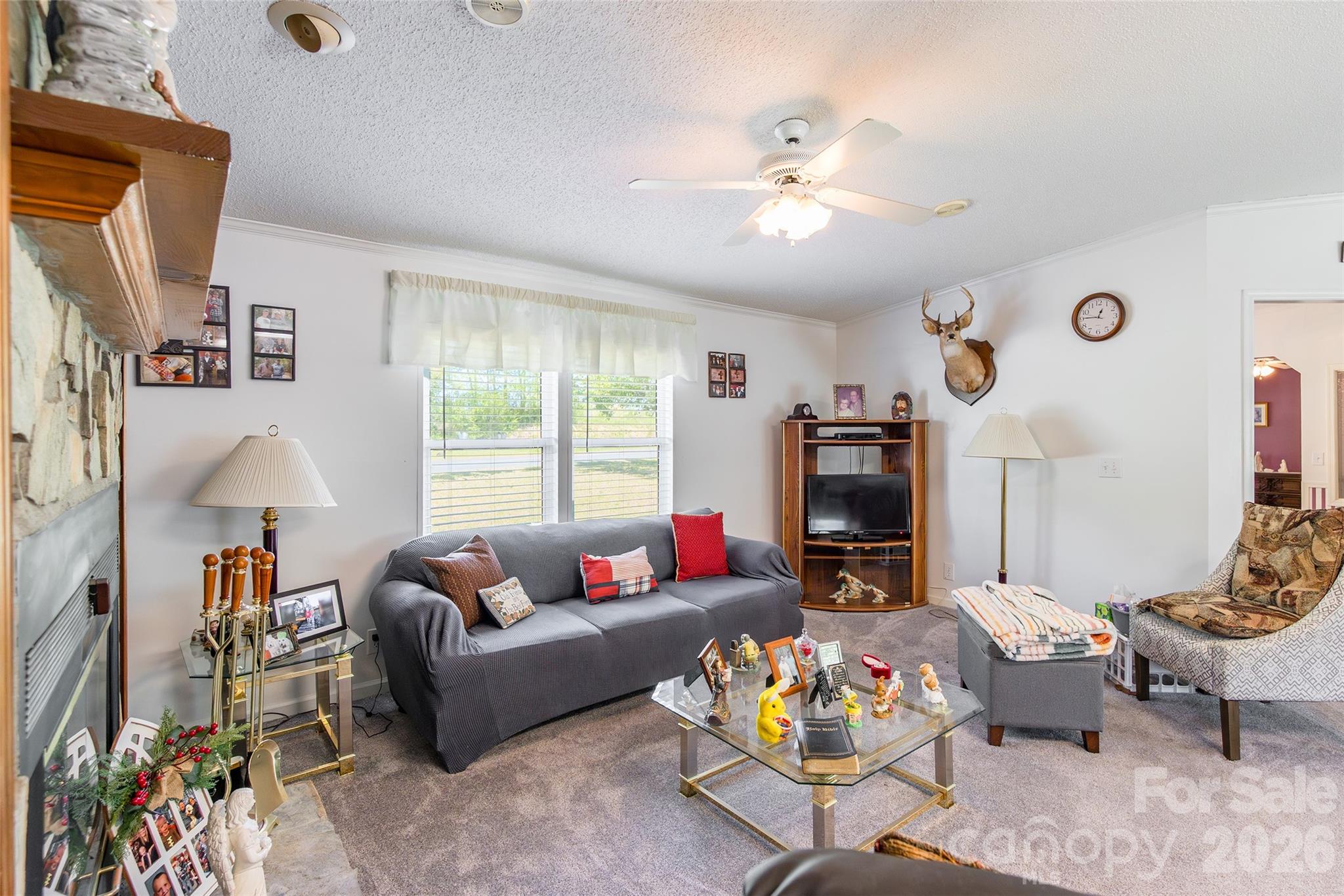 777 John Doster Road Pageland, SC 29728 - Photo 11 of 34 a living room with furniture and a flat screen tv