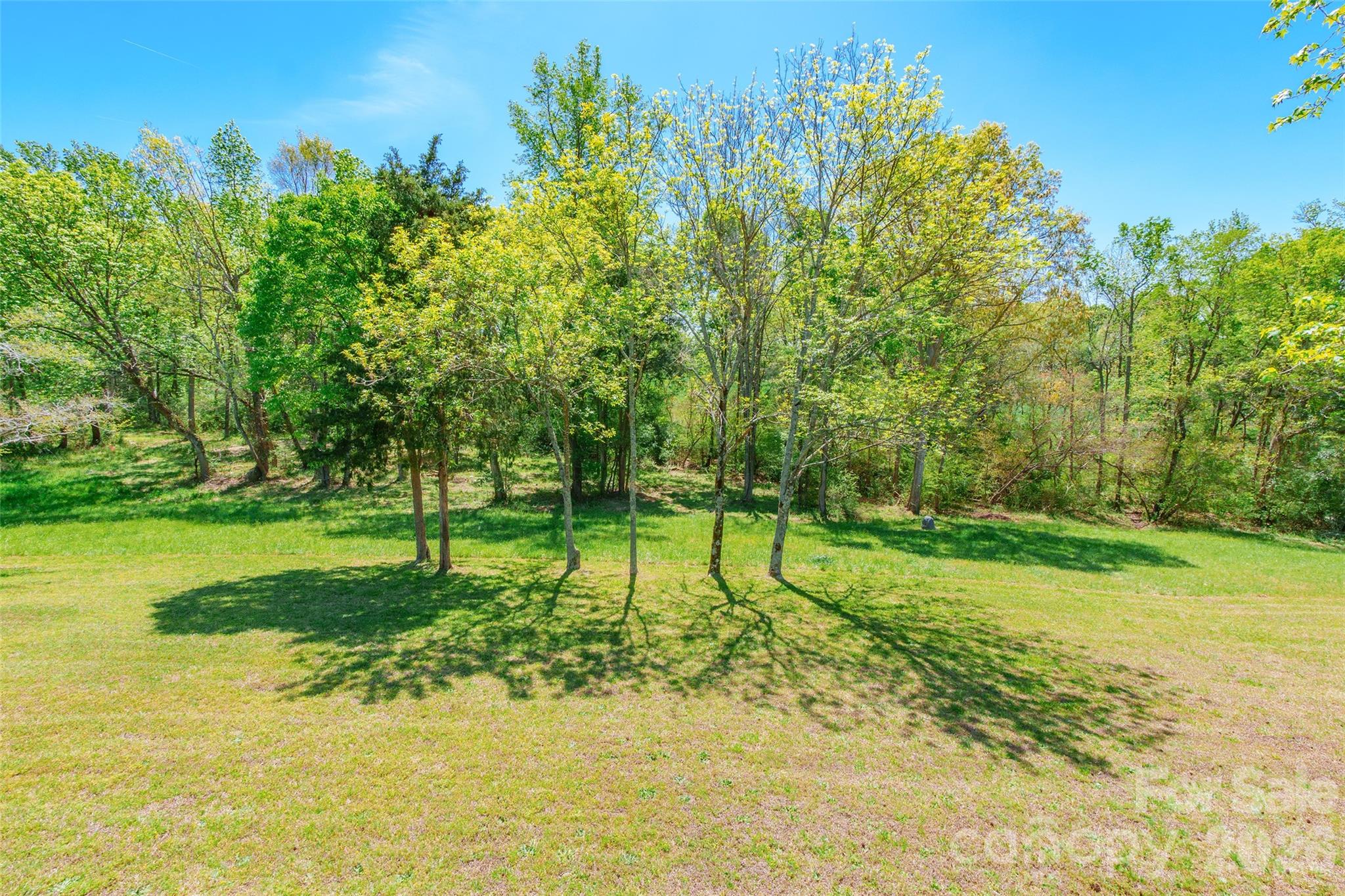777 John Doster Road Pageland, SC 29728 - Photo 31 of 34 a view of swimming pool with a yard