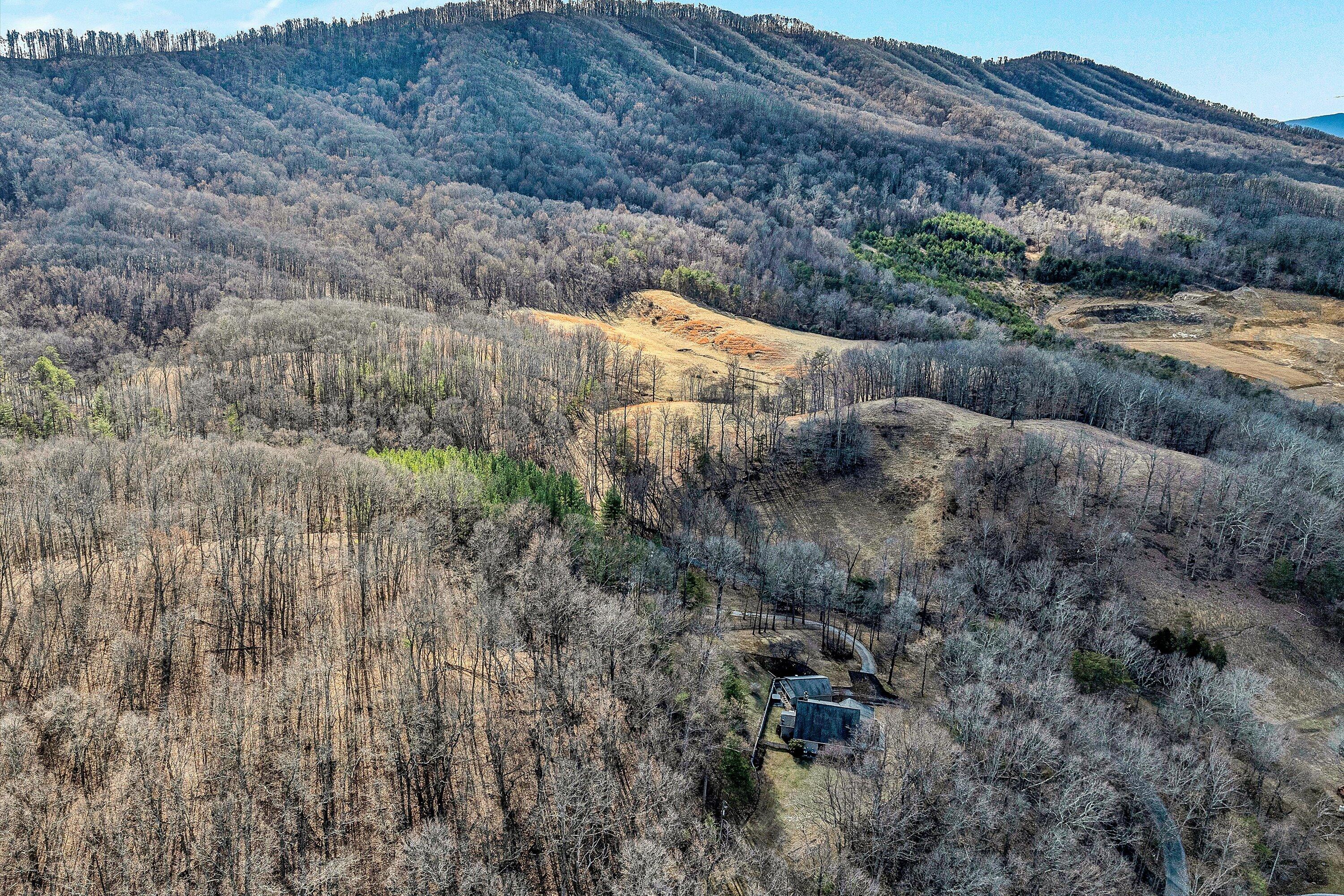 29 Serenity Lane Blue Ridge, VA 24064 - Photo 56 of 81 a view of a dry field with trees