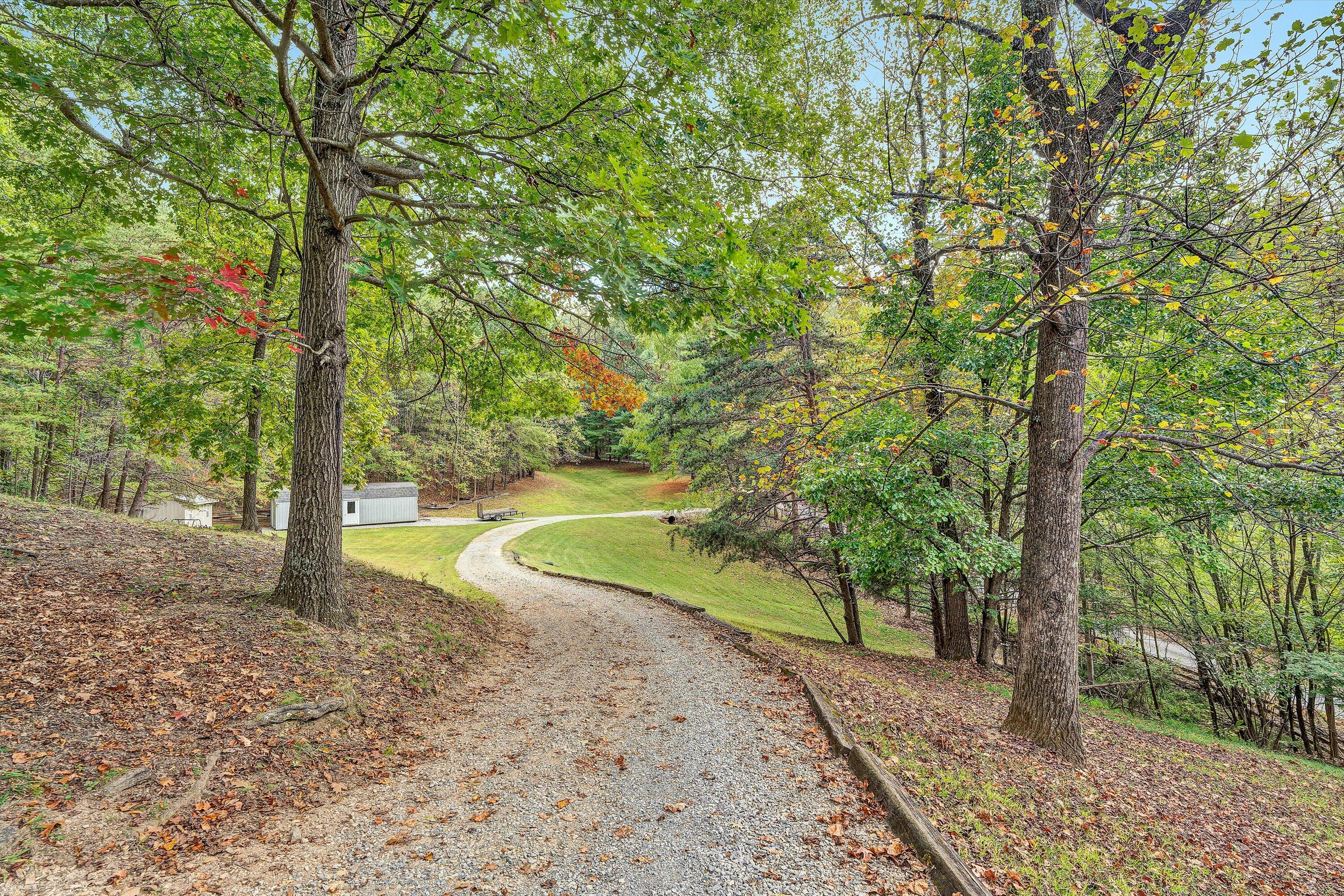 29 Serenity Lane Blue Ridge, VA 24064 - Photo 70 of 81 a view of a yard with trees