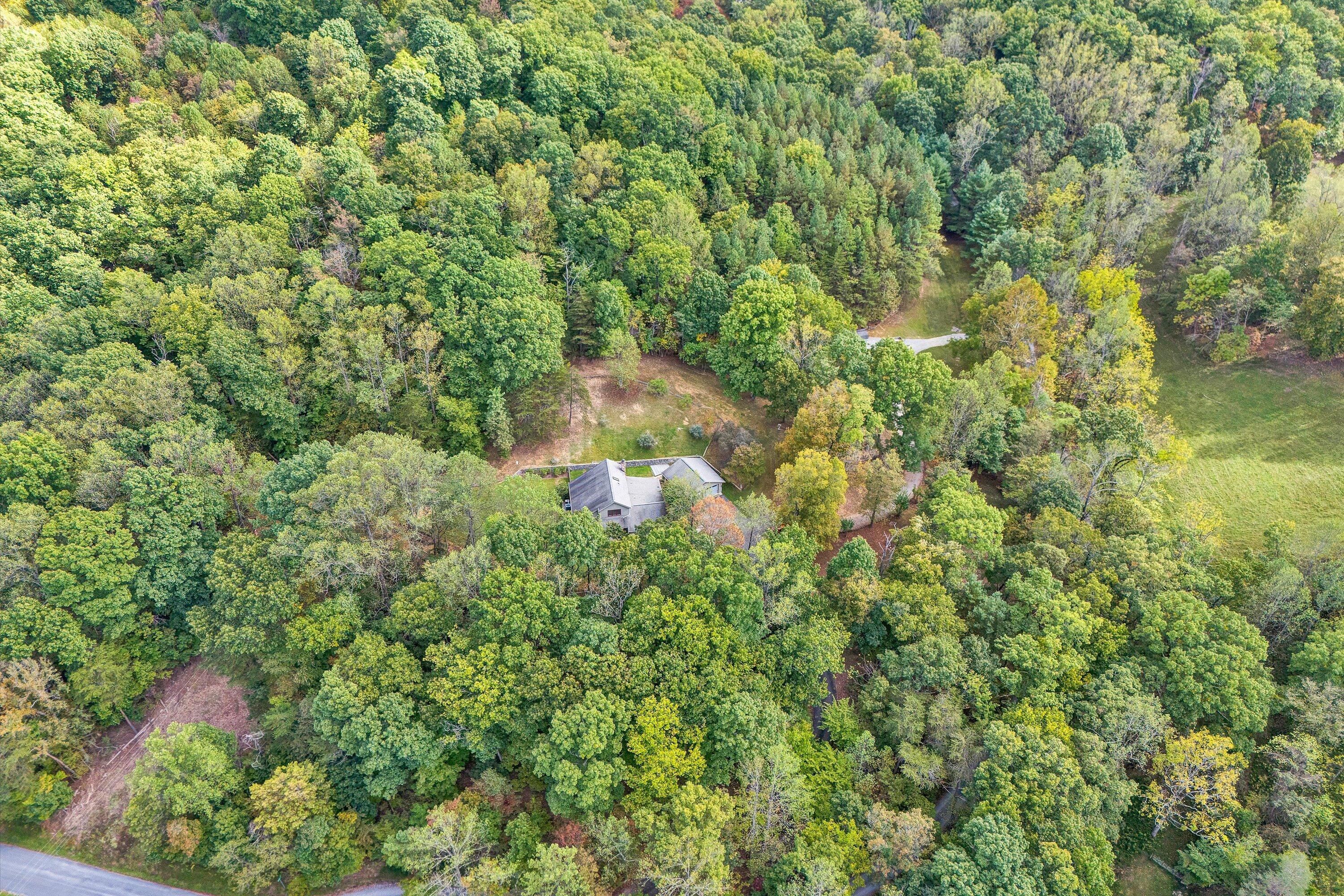 29 Serenity Lane Blue Ridge, VA 24064 - Photo 74 of 81 052-DJI_20251006145031_0013