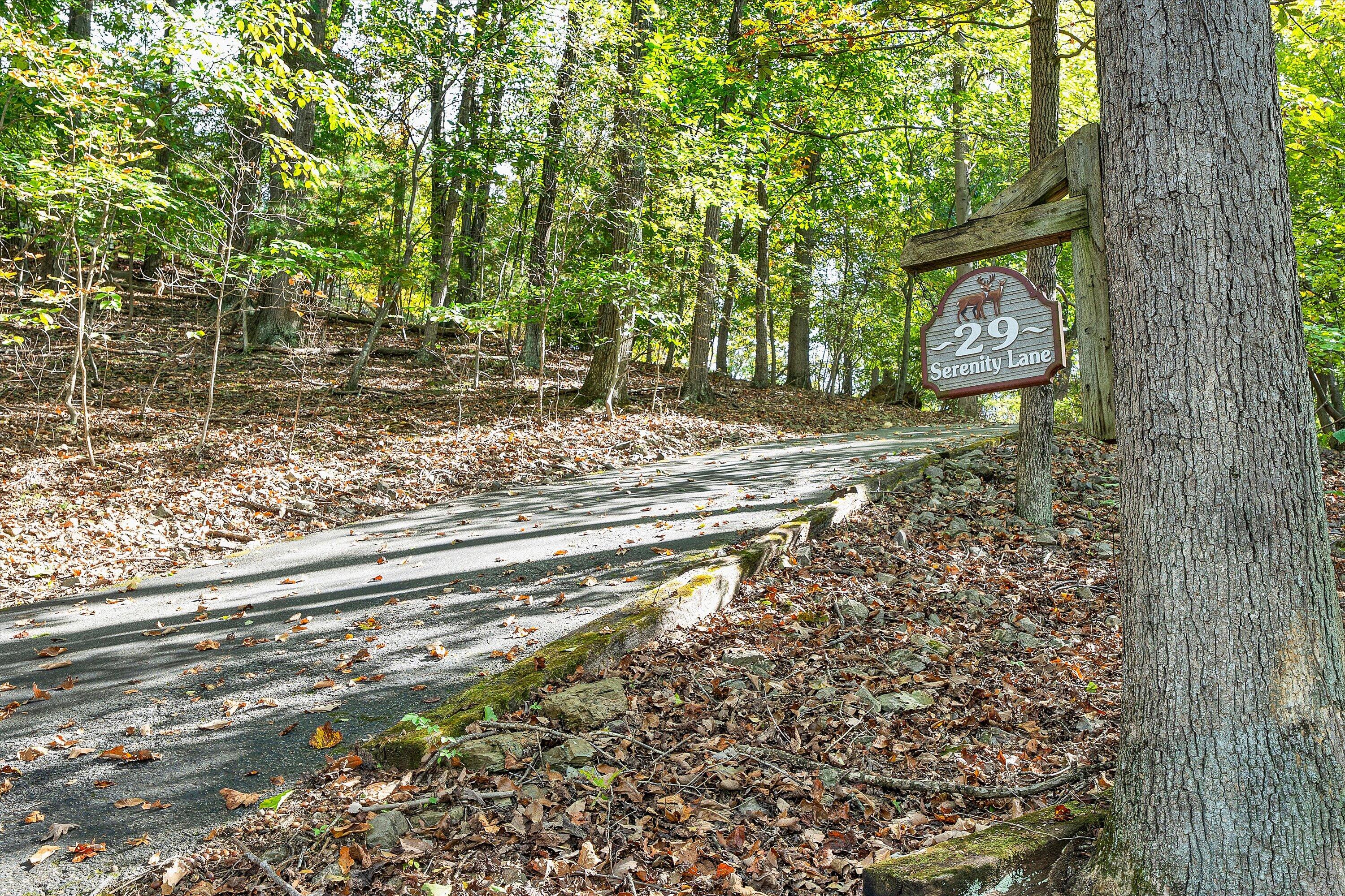 29 Serenity Lane Blue Ridge, VA 24064 - Photo 81 of 81 061-DSC00250