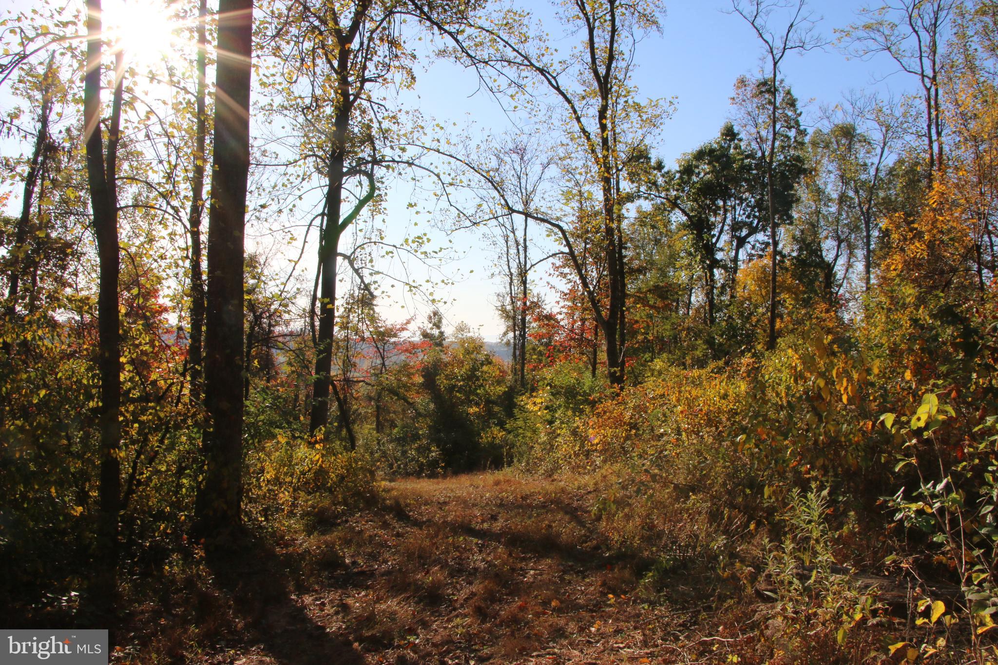 Frog Hollow Road Winchester, VA 22603 - Photo 13 of 62
