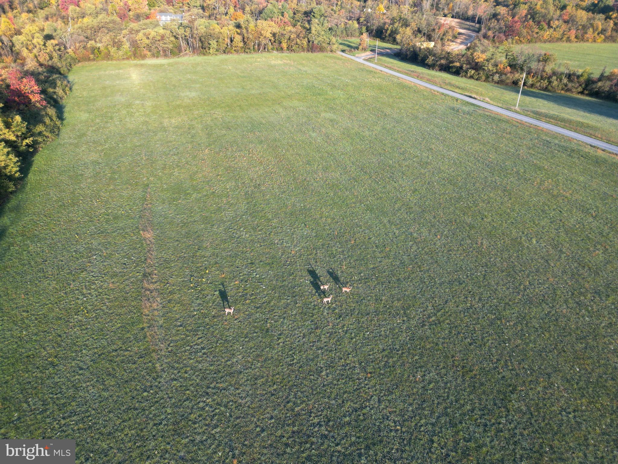 Frog Hollow Road Winchester, VA 22603 - Photo 15 of 62