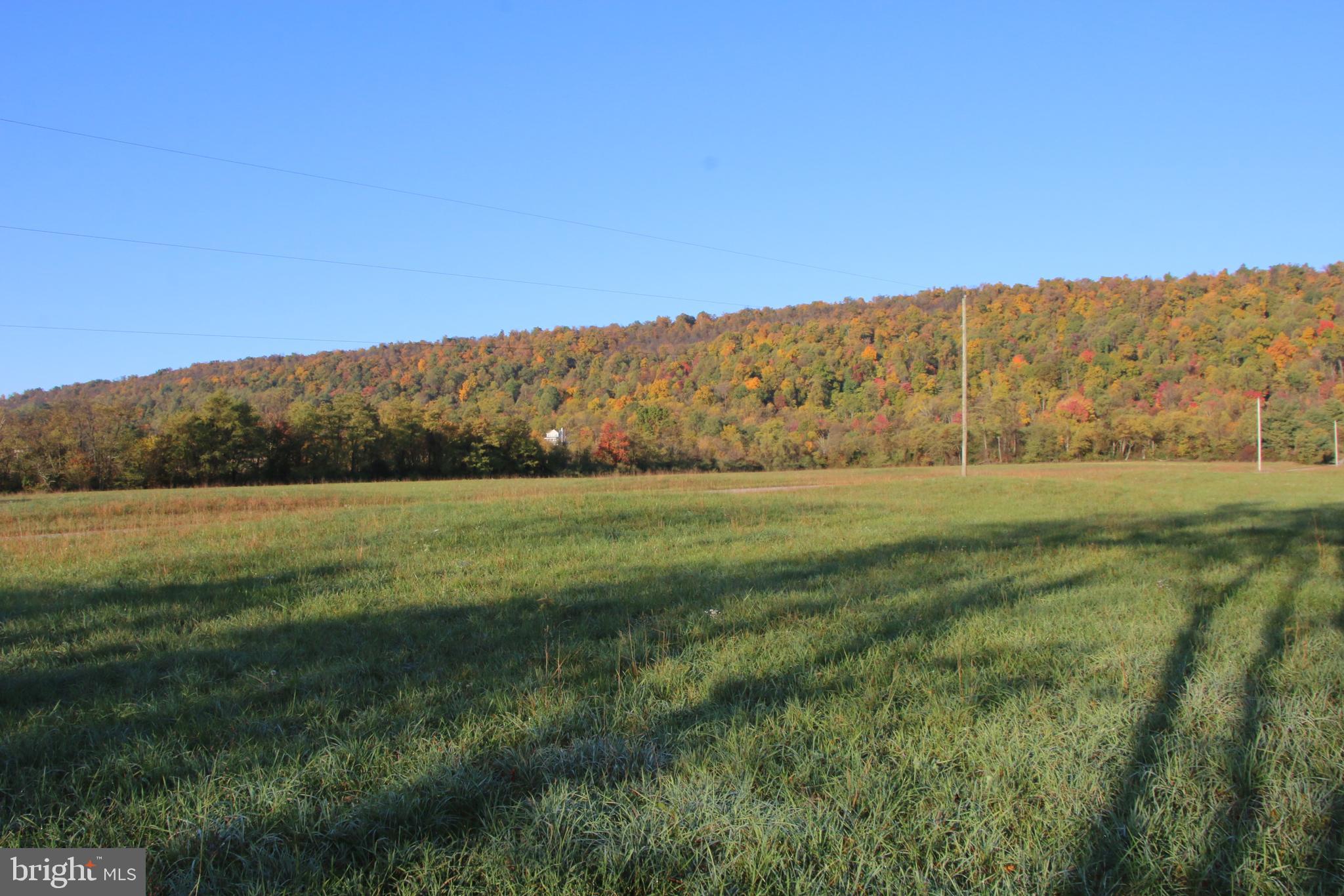 Frog Hollow Road Winchester, VA 22603 - Photo 17 of 62