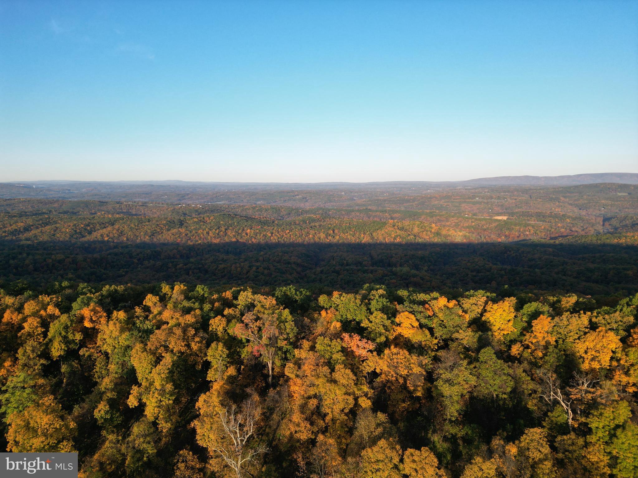 Frog Hollow Road Winchester, VA 22603 - Photo 20 of 62