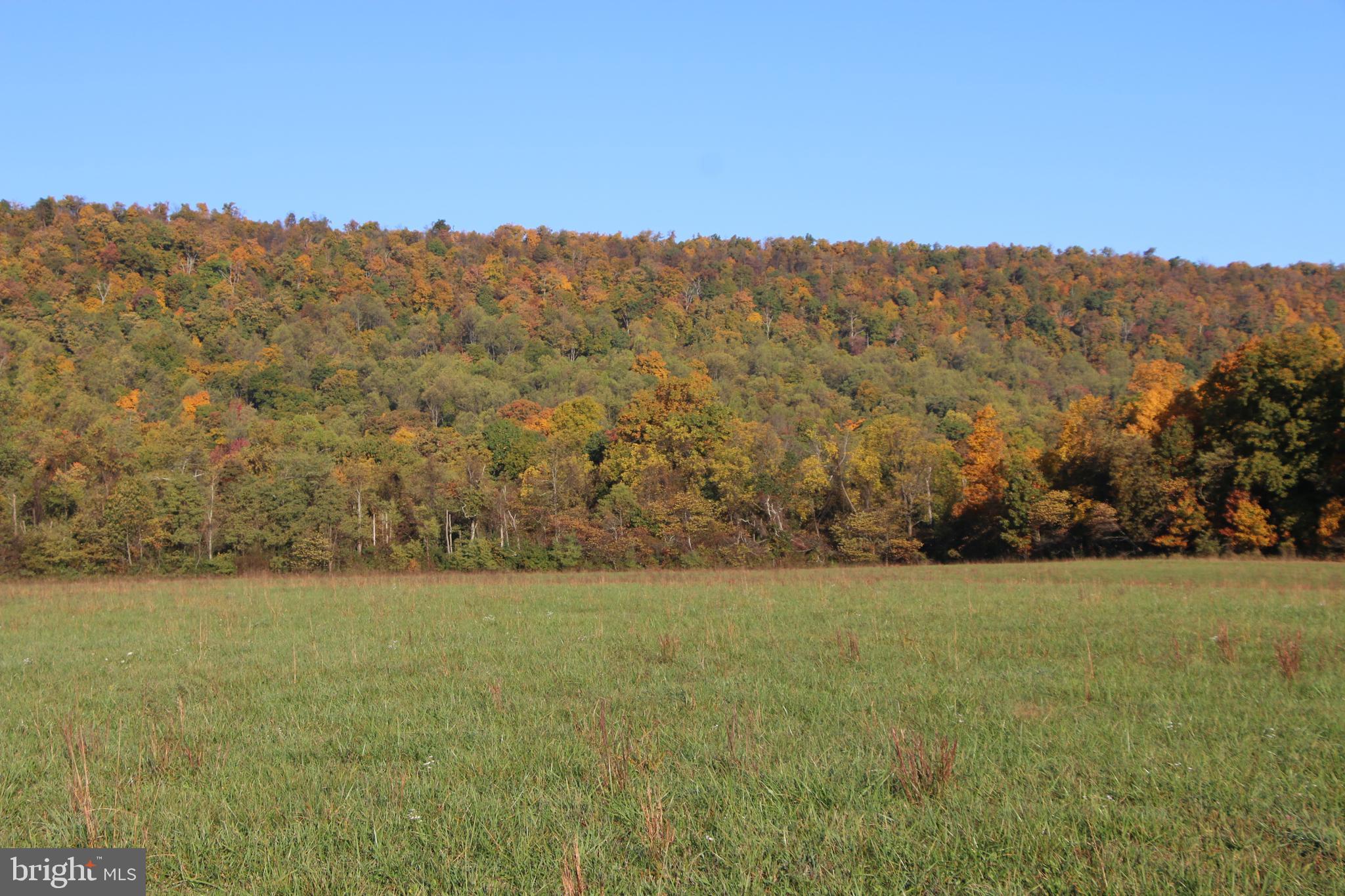 Frog Hollow Road Winchester, VA 22603 - Photo 29 of 62