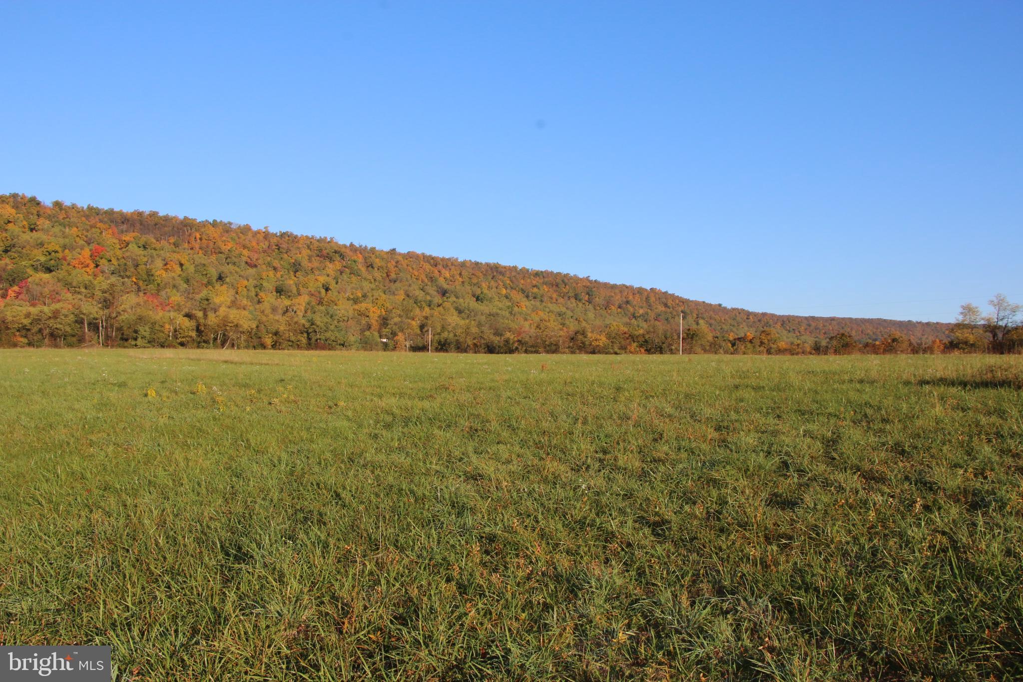 Frog Hollow Road Winchester, VA 22603 - Photo 30 of 62