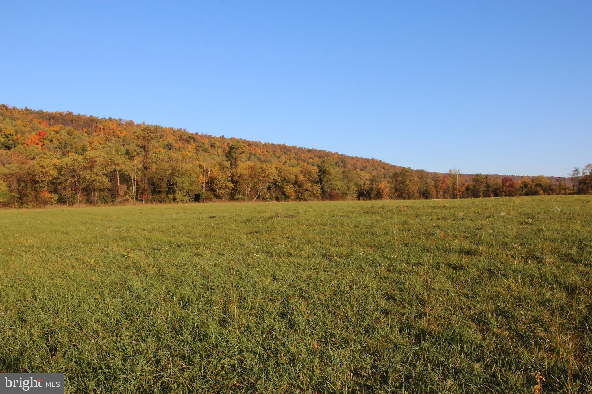 Frog Hollow Road Winchester, VA 22603 - Photo 32 of 62