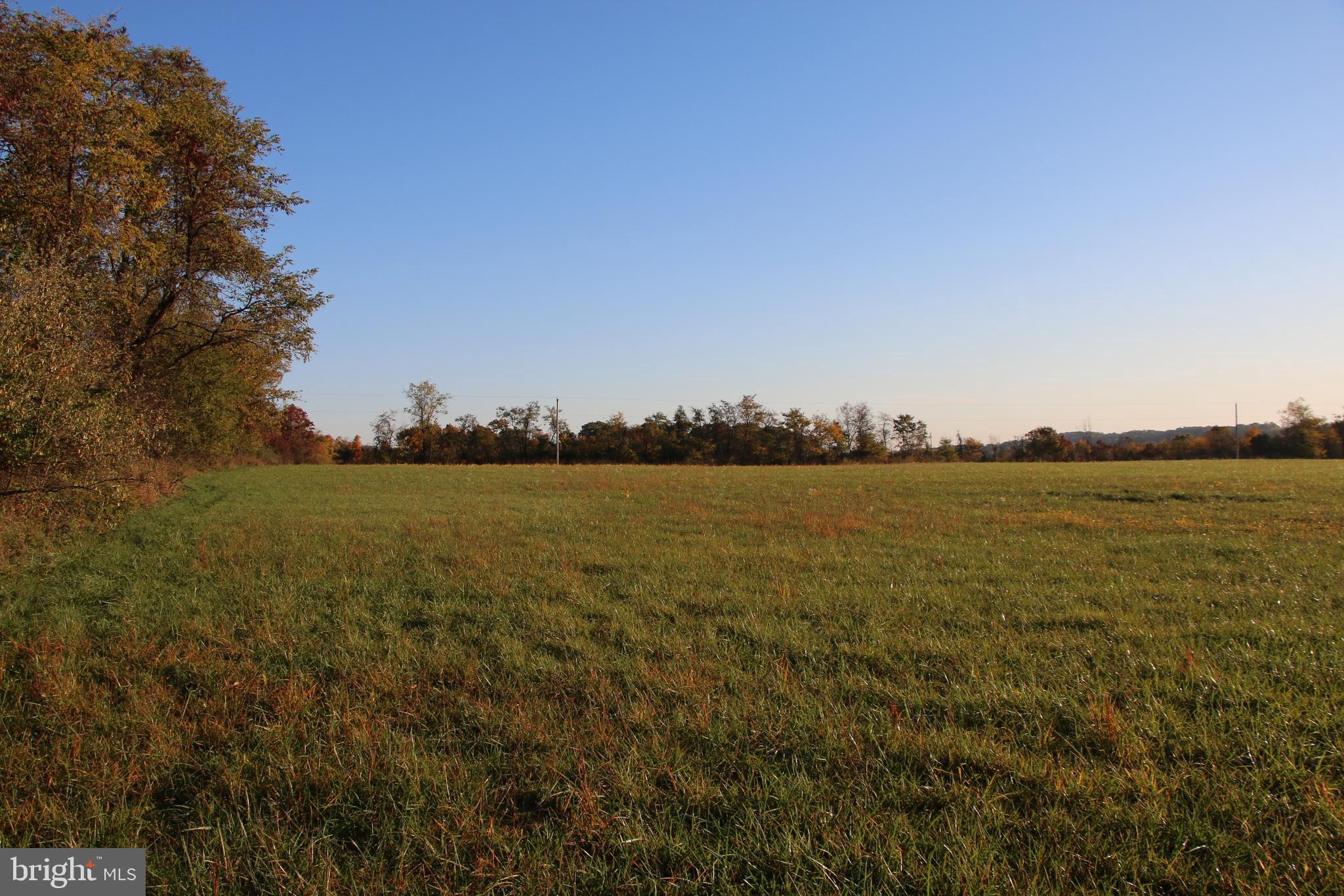 Frog Hollow Road Winchester, VA 22603 - Photo 34 of 62