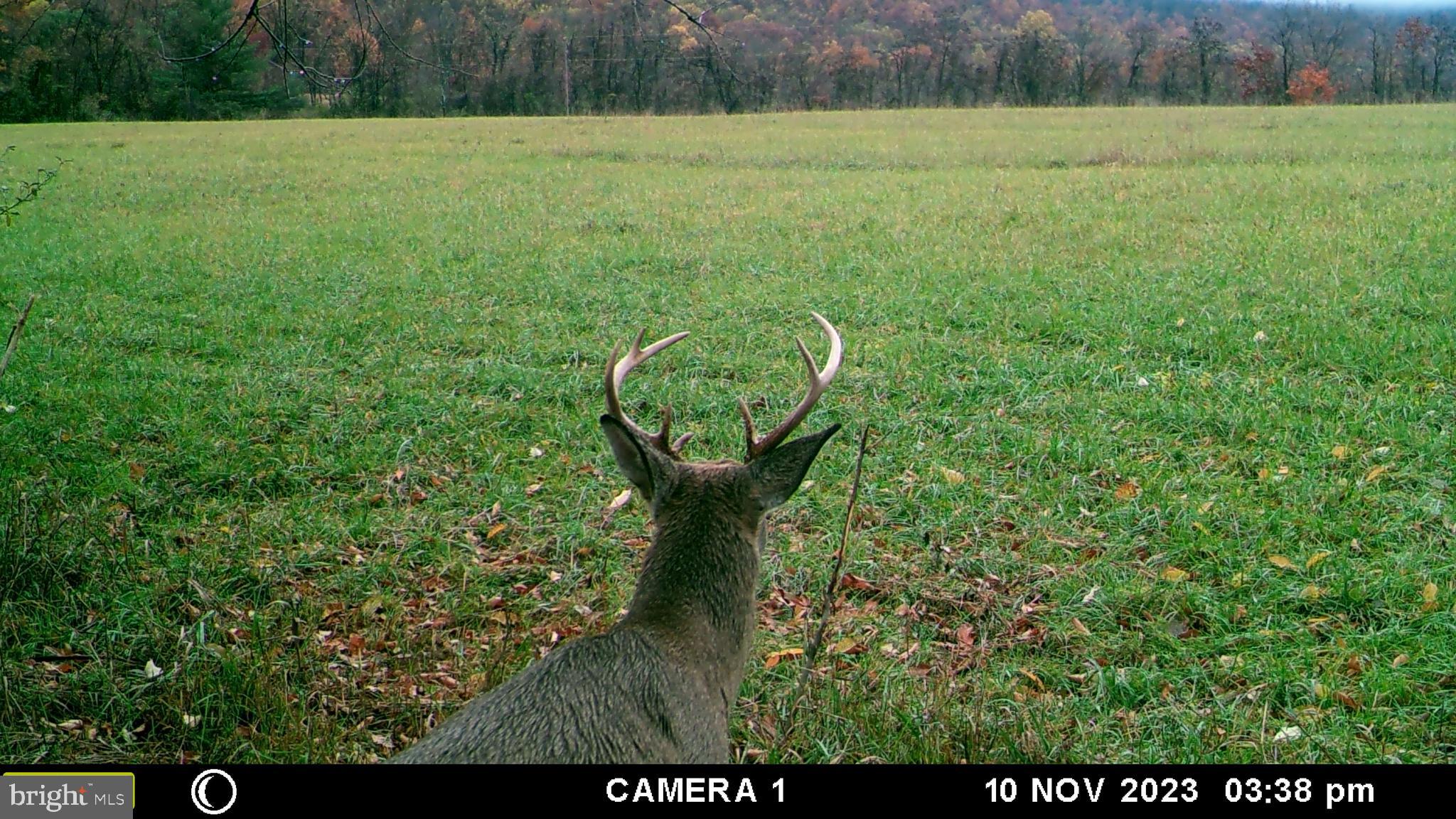 Frog Hollow Road Winchester, VA 22603 - Photo 39 of 62