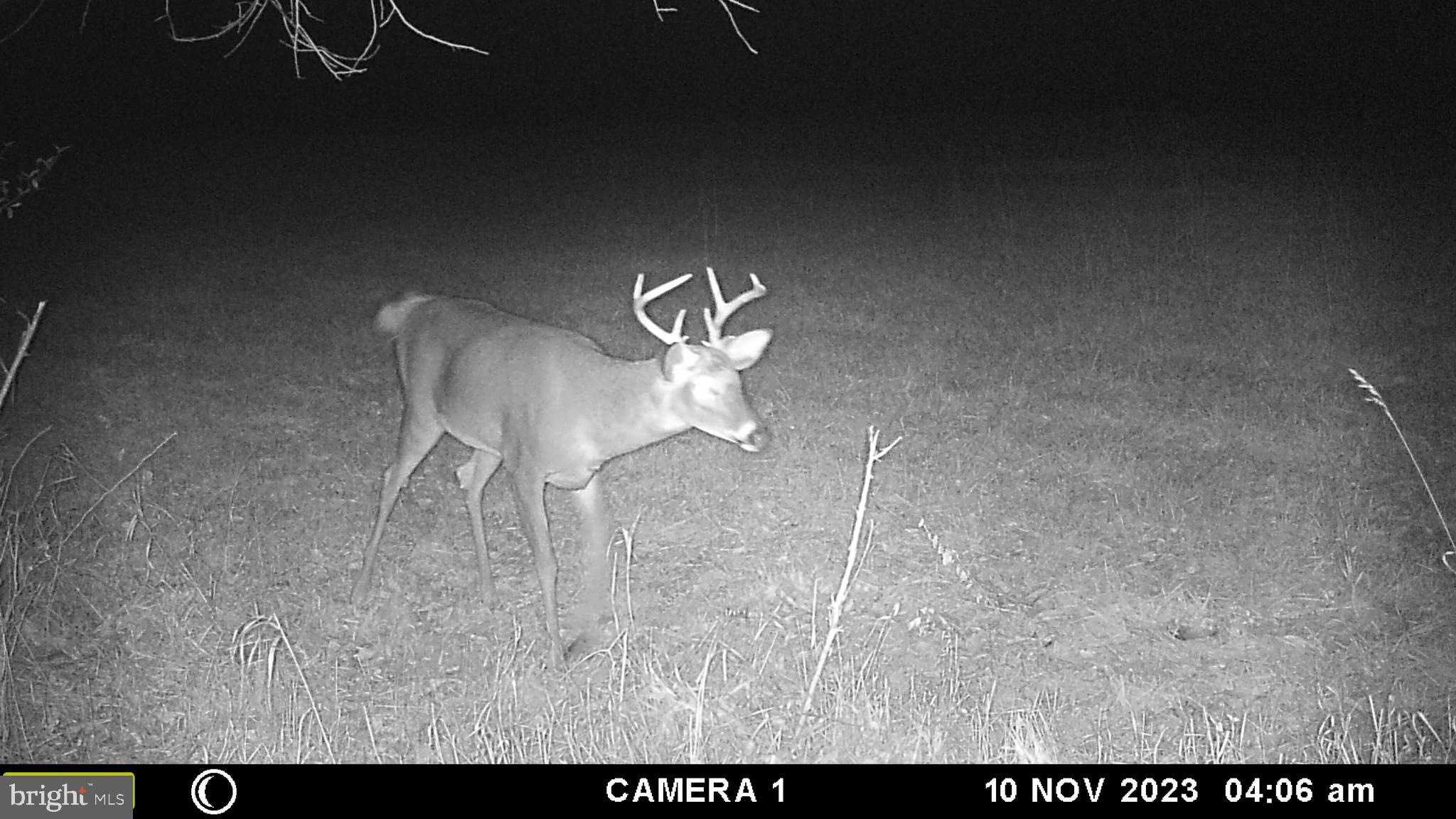 Frog Hollow Road Winchester, VA 22603 - Photo 41 of 62