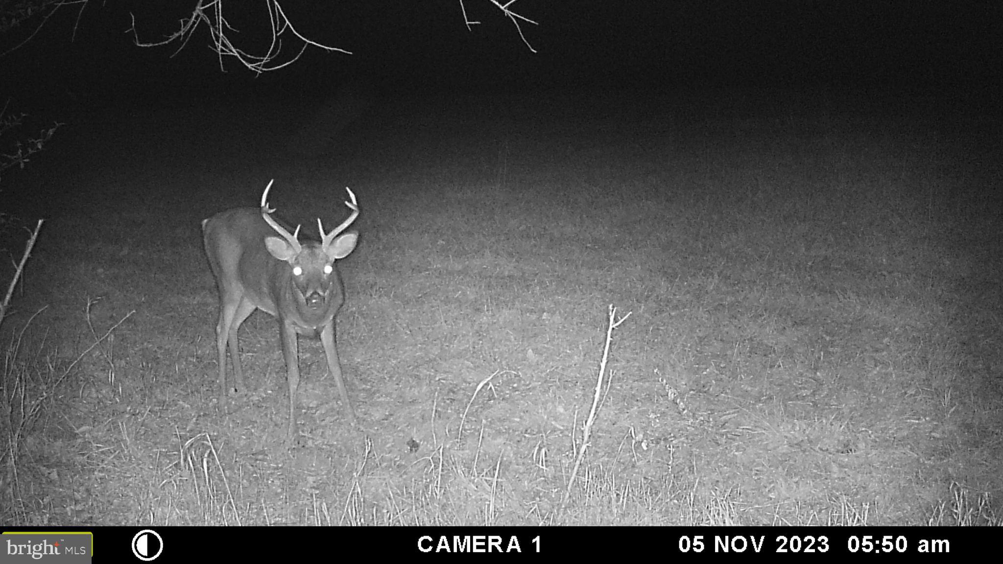 Frog Hollow Road Winchester, VA 22603 - Photo 46 of 62