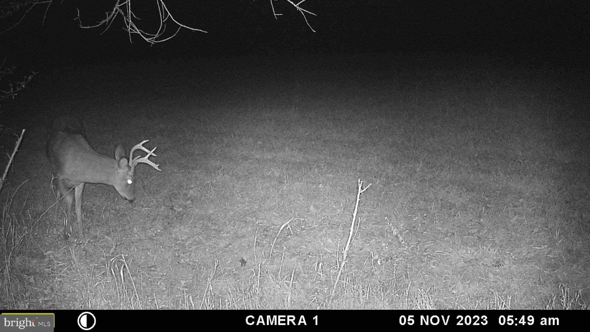 Frog Hollow Road Winchester, VA 22603 - Photo 48 of 62