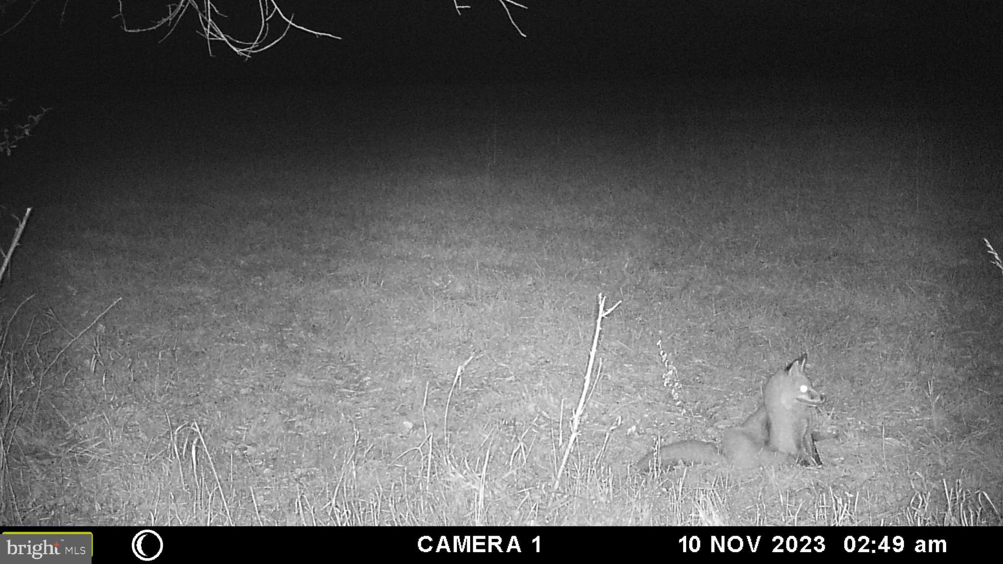 Frog Hollow Road Winchester, VA 22603 - Photo 49 of 62