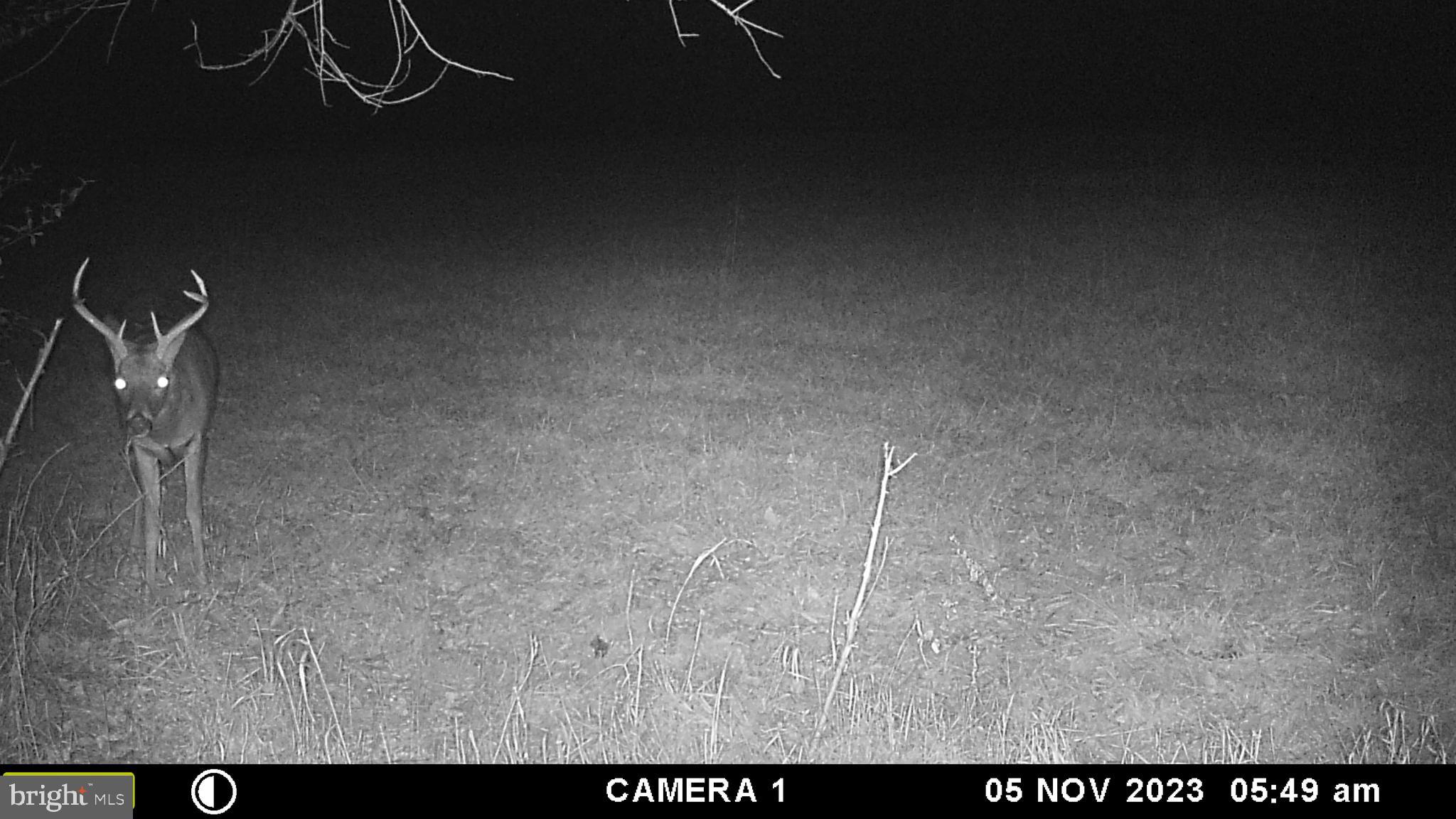 Frog Hollow Road Winchester, VA 22603 - Photo 50 of 62