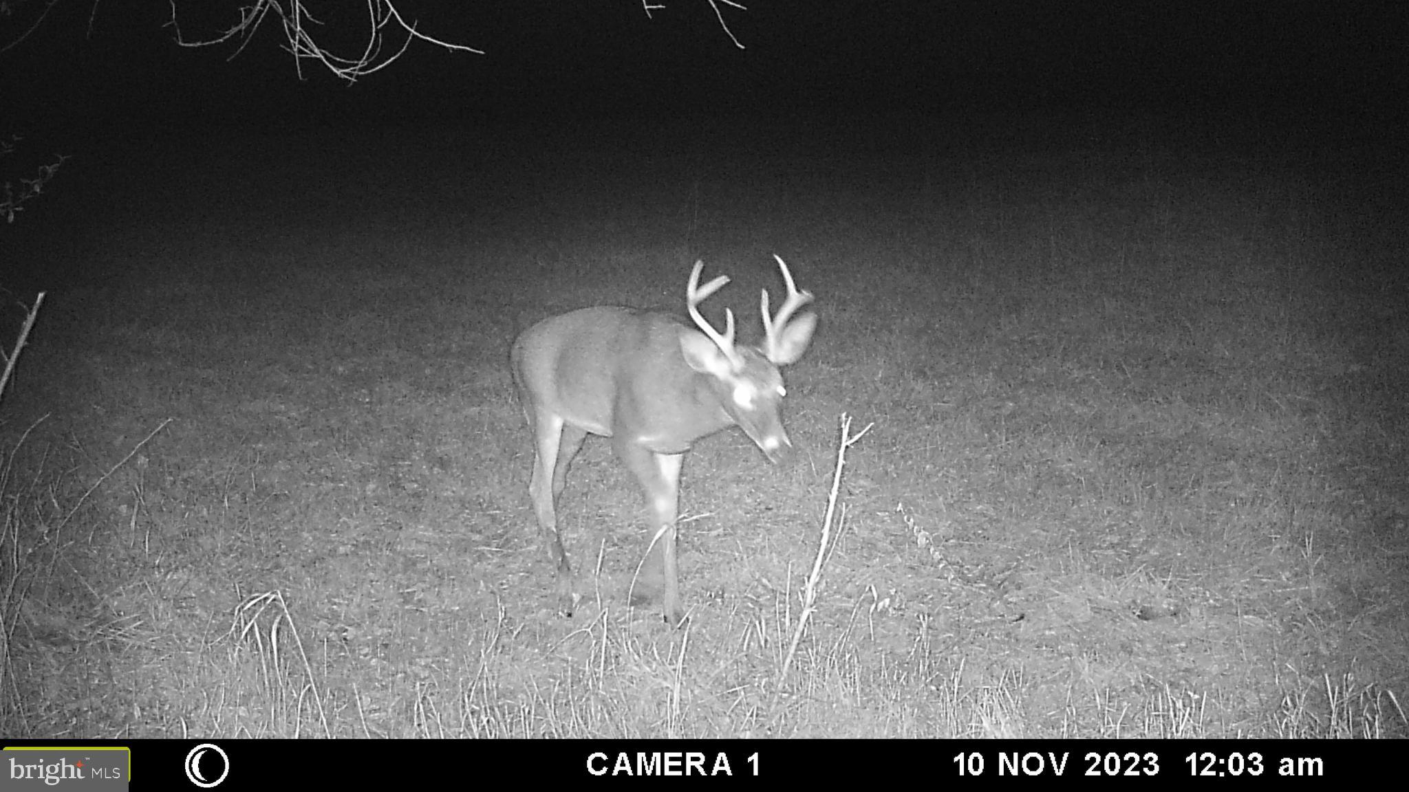 Frog Hollow Road Winchester, VA 22603 - Photo 51 of 62