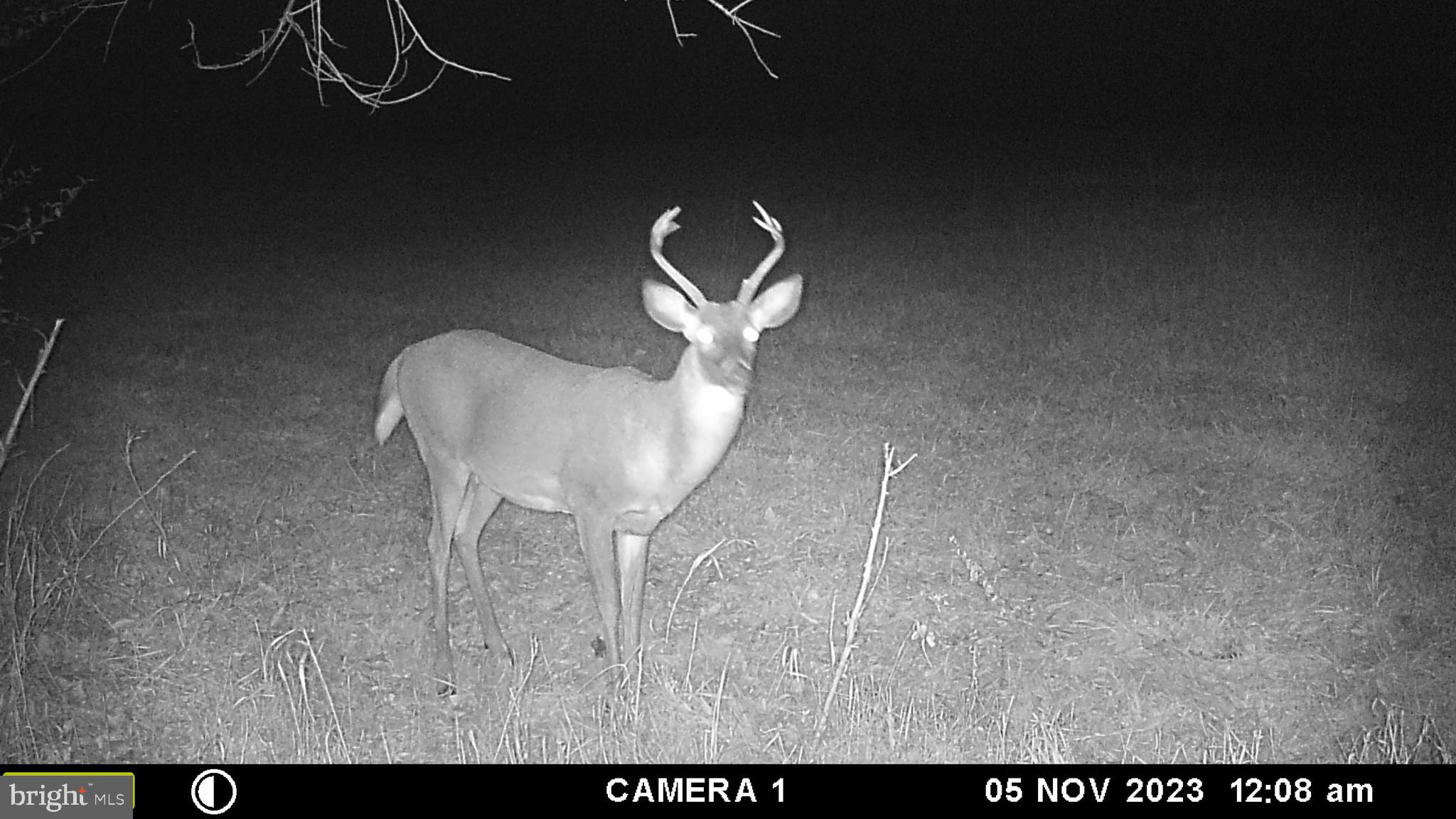 Frog Hollow Road Winchester, VA 22603 - Photo 53 of 62