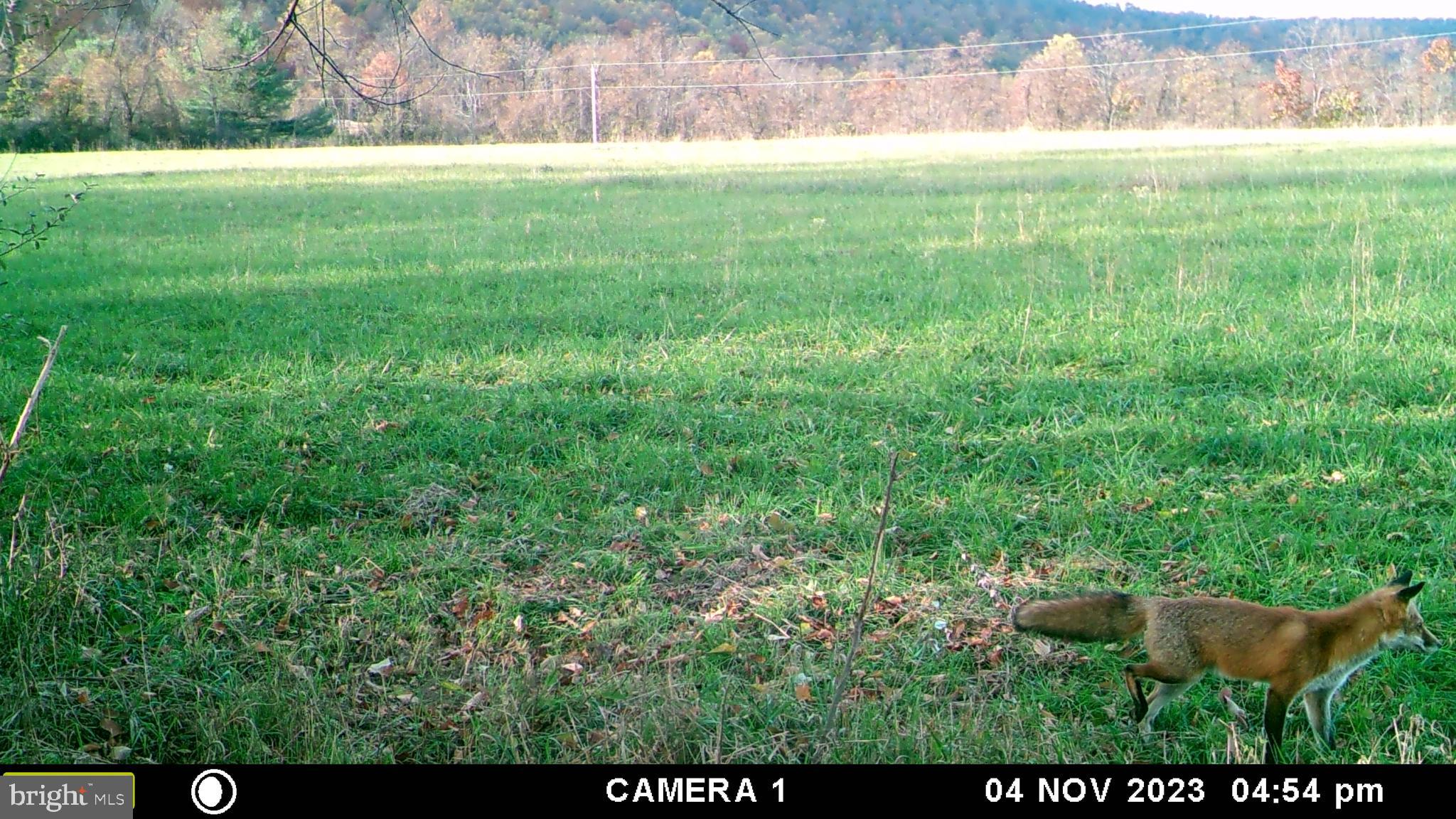 Frog Hollow Road Winchester, VA 22603 - Photo 54 of 62