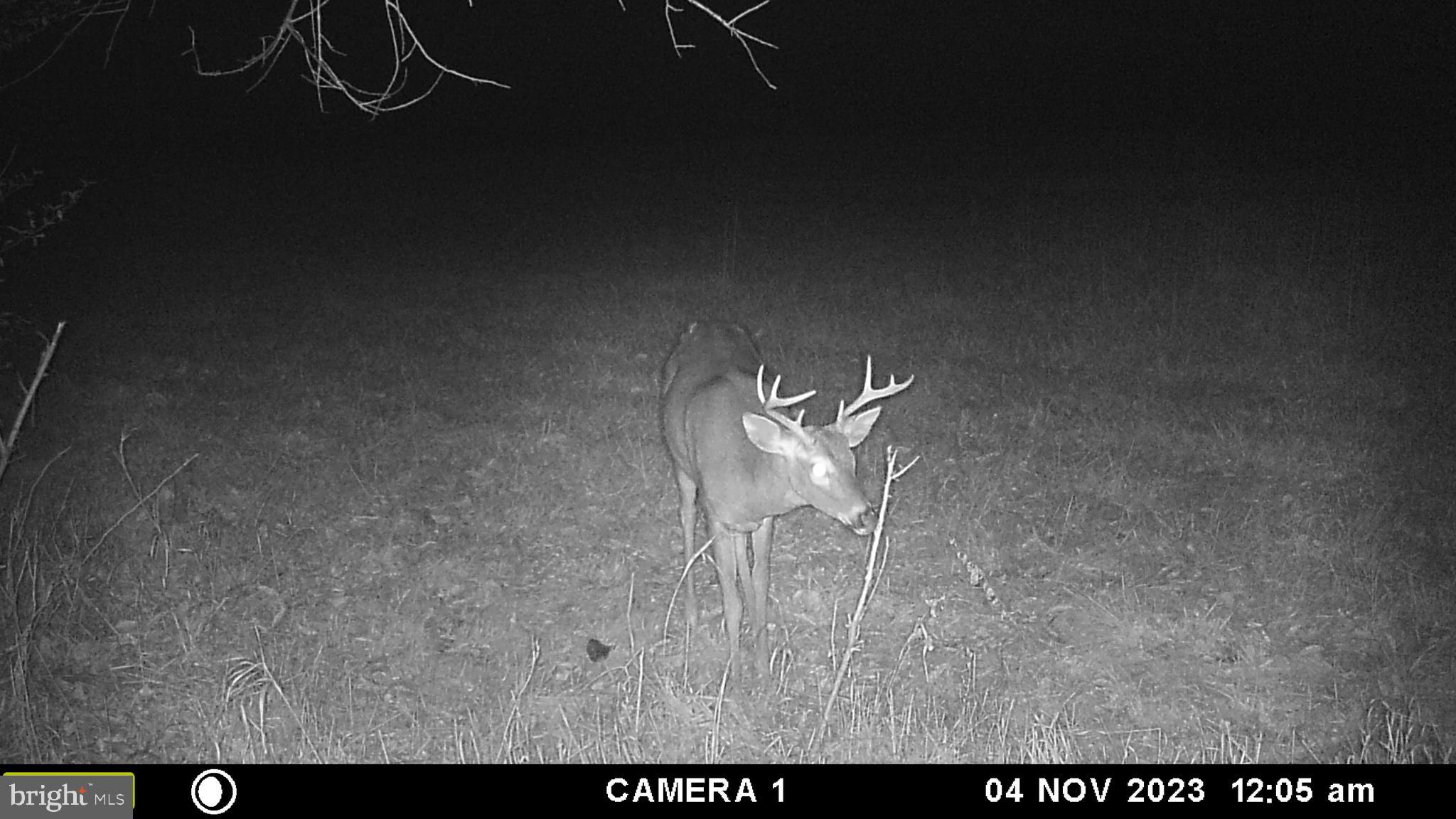 Frog Hollow Road Winchester, VA 22603 - Photo 55 of 62