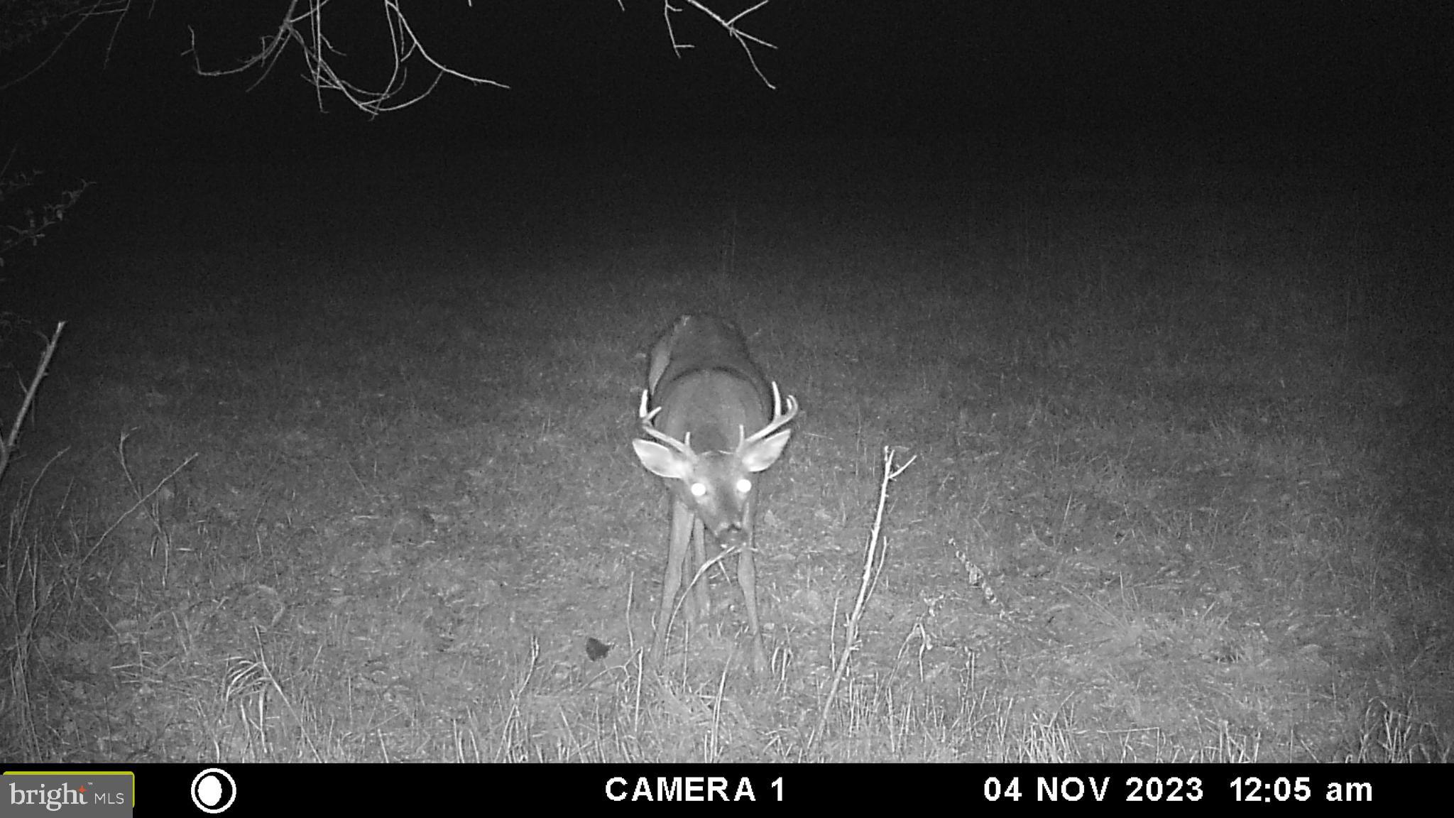 Frog Hollow Road Winchester, VA 22603 - Photo 56 of 62