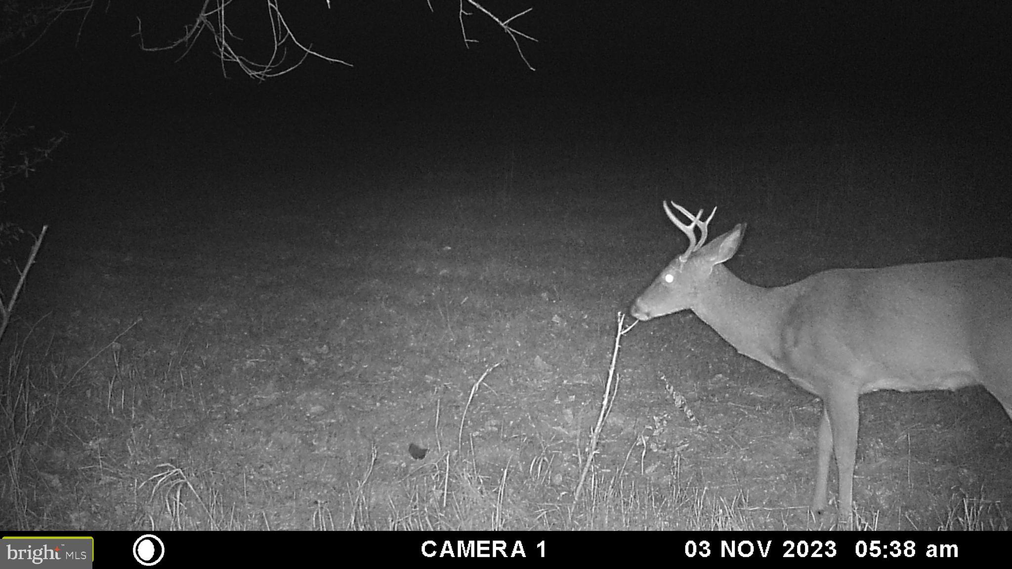 Frog Hollow Road Winchester, VA 22603 - Photo 57 of 62