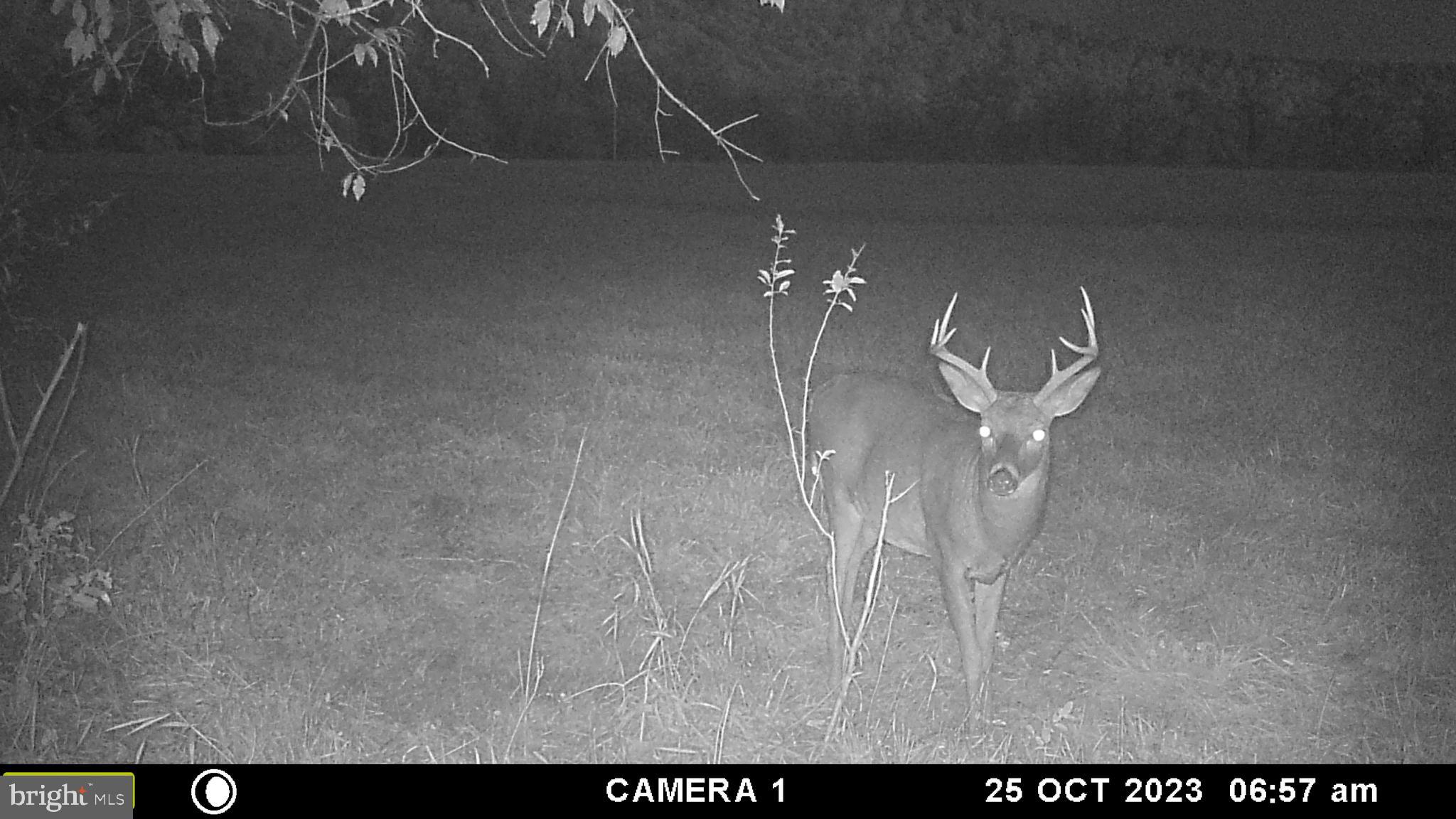 Frog Hollow Road Winchester, VA 22603 - Photo 60 of 62