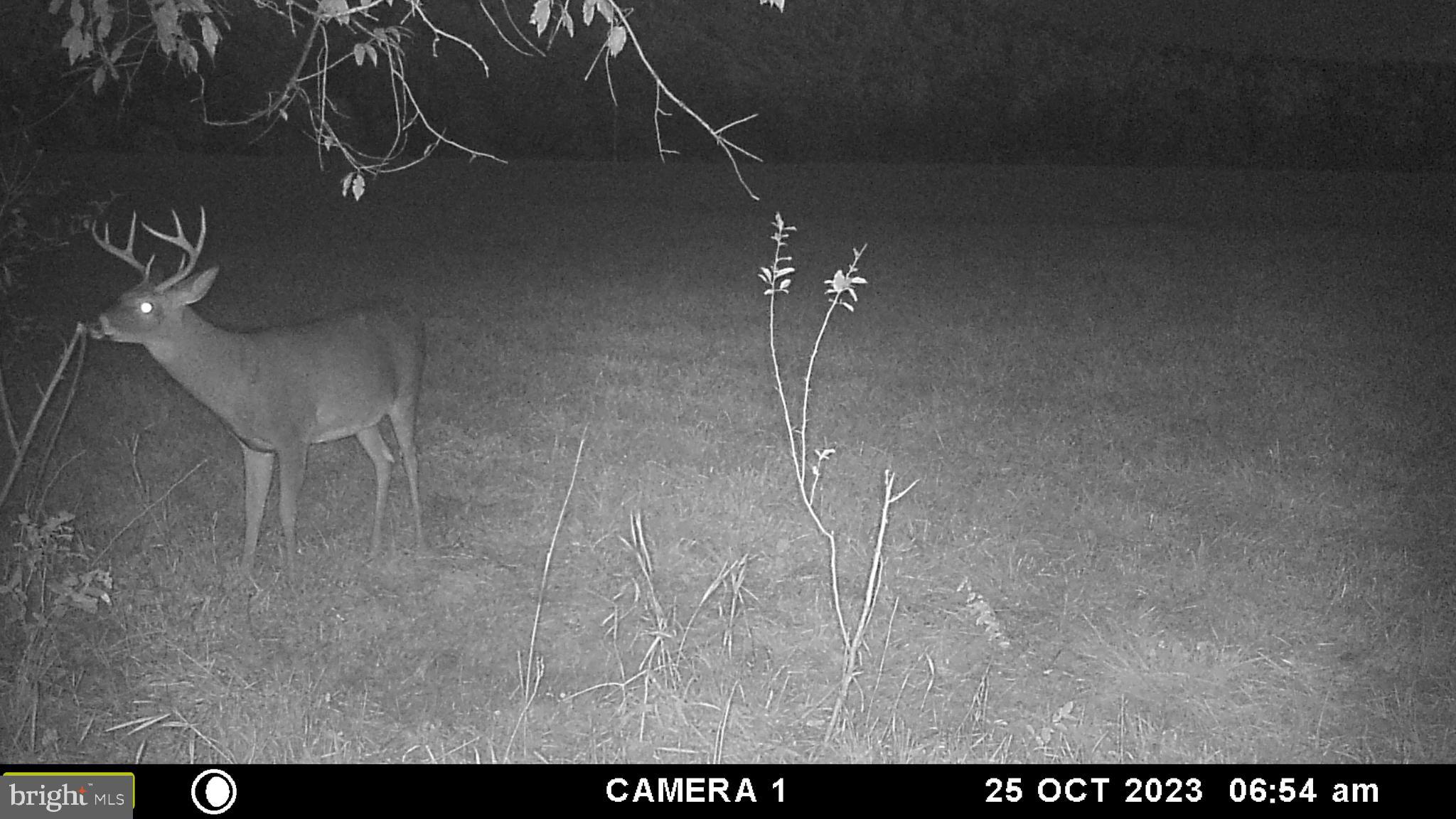 Frog Hollow Road Winchester, VA 22603 - Photo 61 of 62