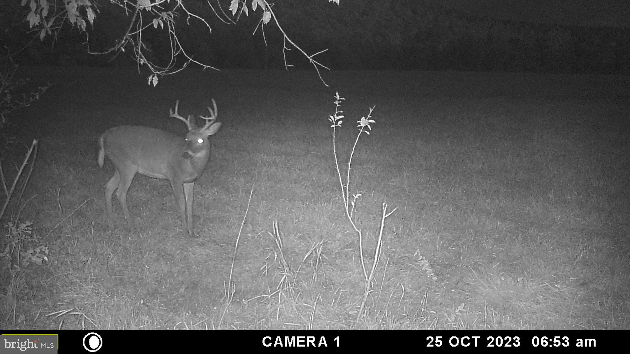 Frog Hollow Road Winchester, VA 22603 - Photo 62 of 62