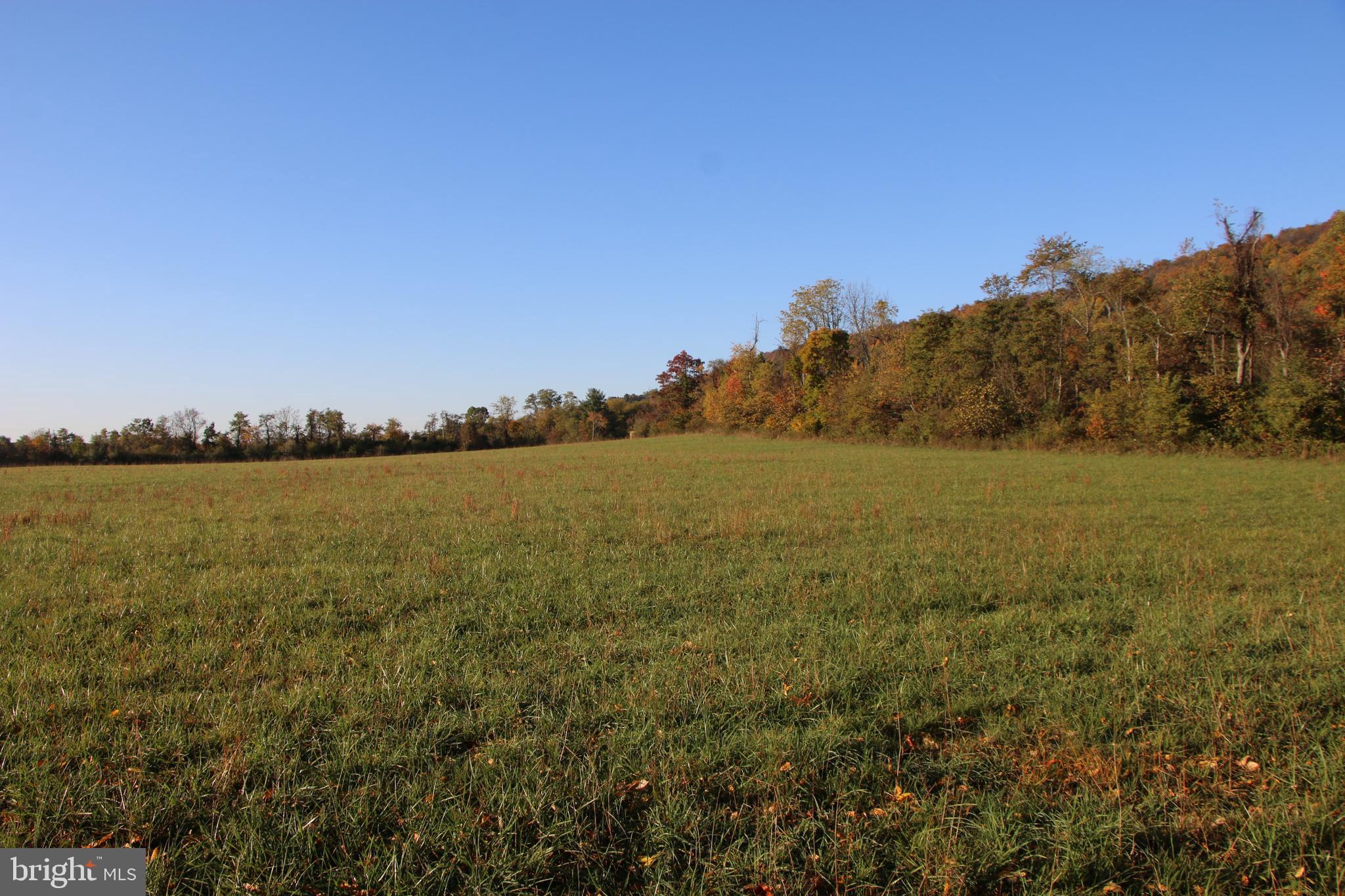 Frog Hollow Road Winchester, VA 22603 - Photo 8 of 62