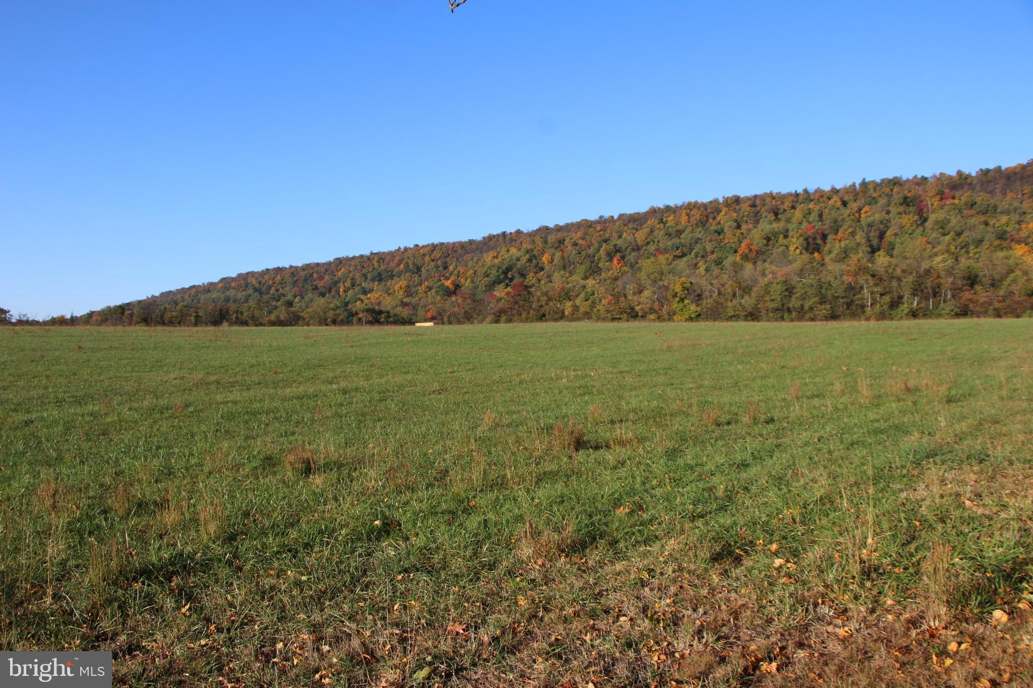 Frog Hollow Road Winchester, VA 22603 - Photo 10 of 62