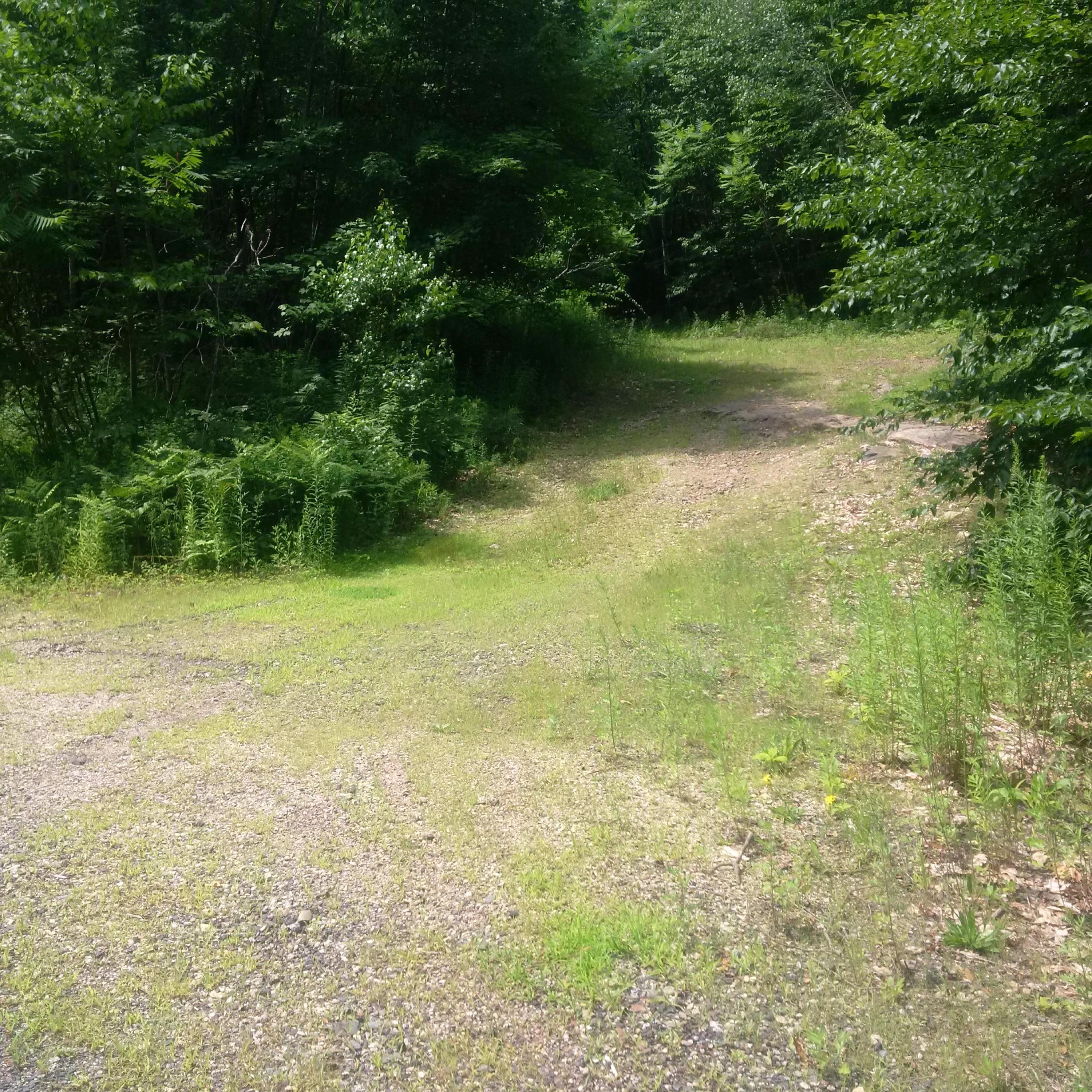 70 Josiah Norton Road Cape Neddick, ME 03902 - Photo 3 of 7 IMG_20170717_114336