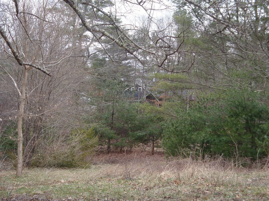 386 Wareham Street Middleboro, MA 02346 - Photo 14 of 15 a view of a forest