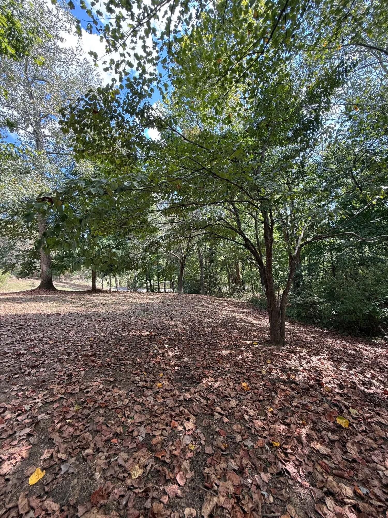 80 Tom Newman Road Dunlap, TN 37327 - Photo 26 of 26 Gallery Image 26