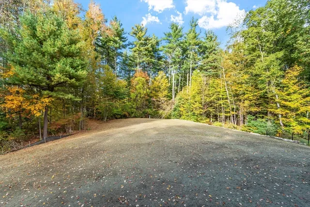 a view of a lake with a city
