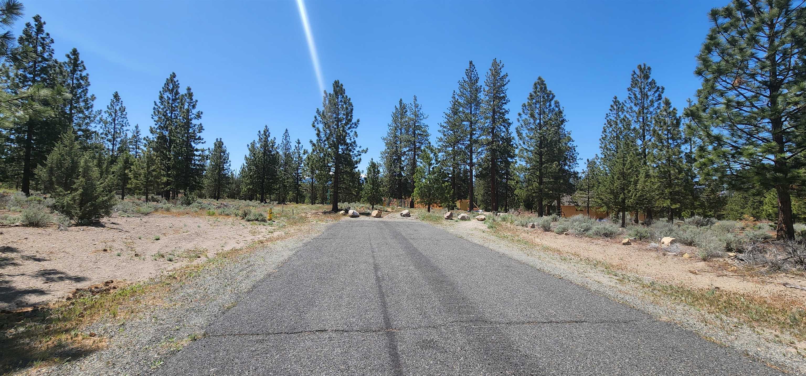 Lot 113 Buffalo Road Weed, CA 96094 - Photo 7 of 13 Gallery Image 7