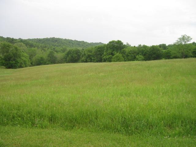 0 Stringtown Weber Corinth, KY 41010 - Photo 5 of 16 Gallery Image 5