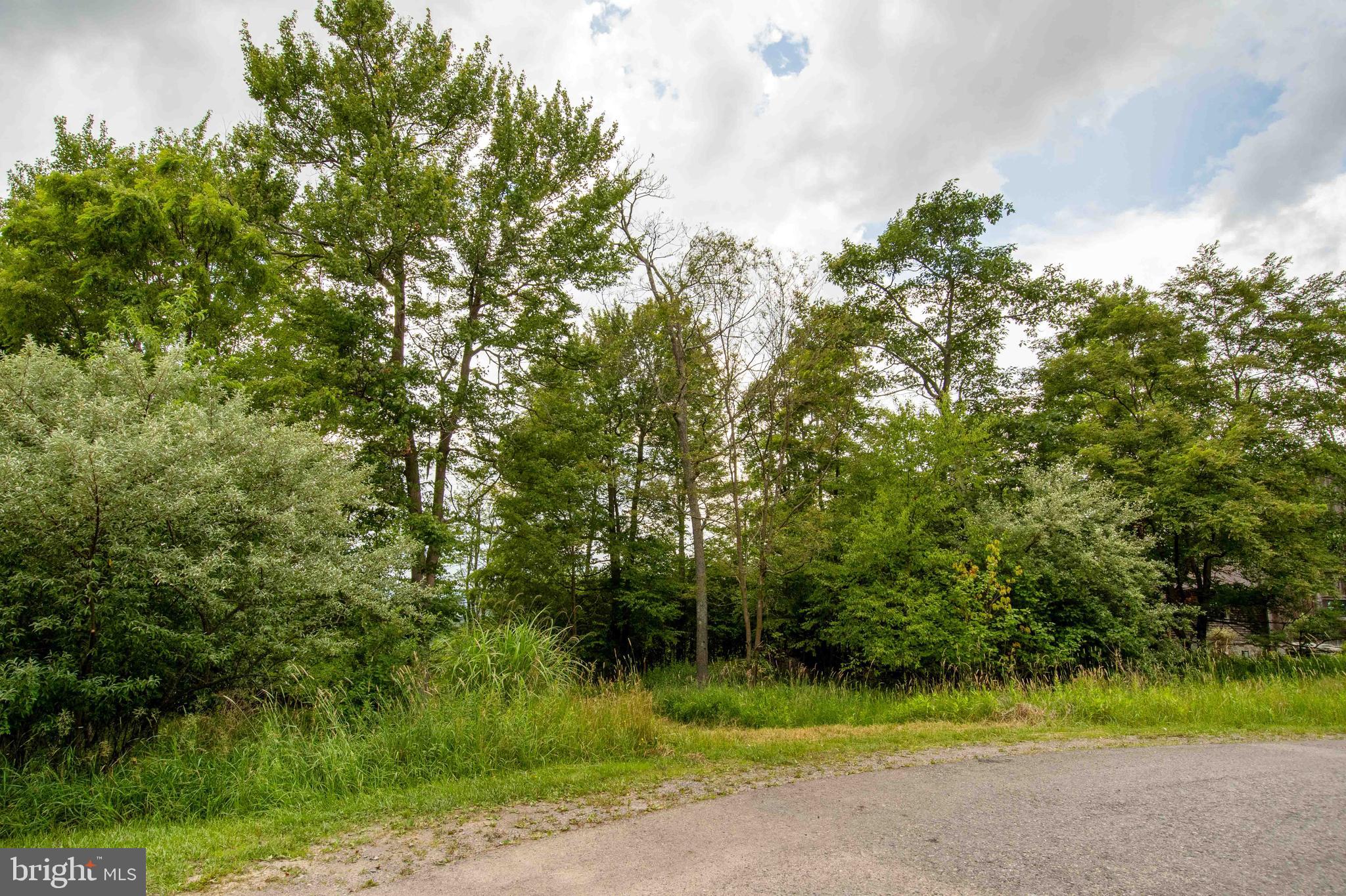 Lot 87 Lower Camp Road McHenry, MD 21541 - Photo 9 of 12