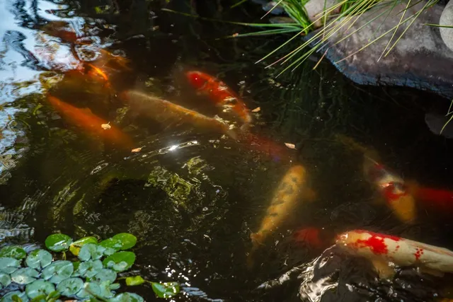 $1,250,000 | Undisclosed Address, Red Bluff, CA 96080