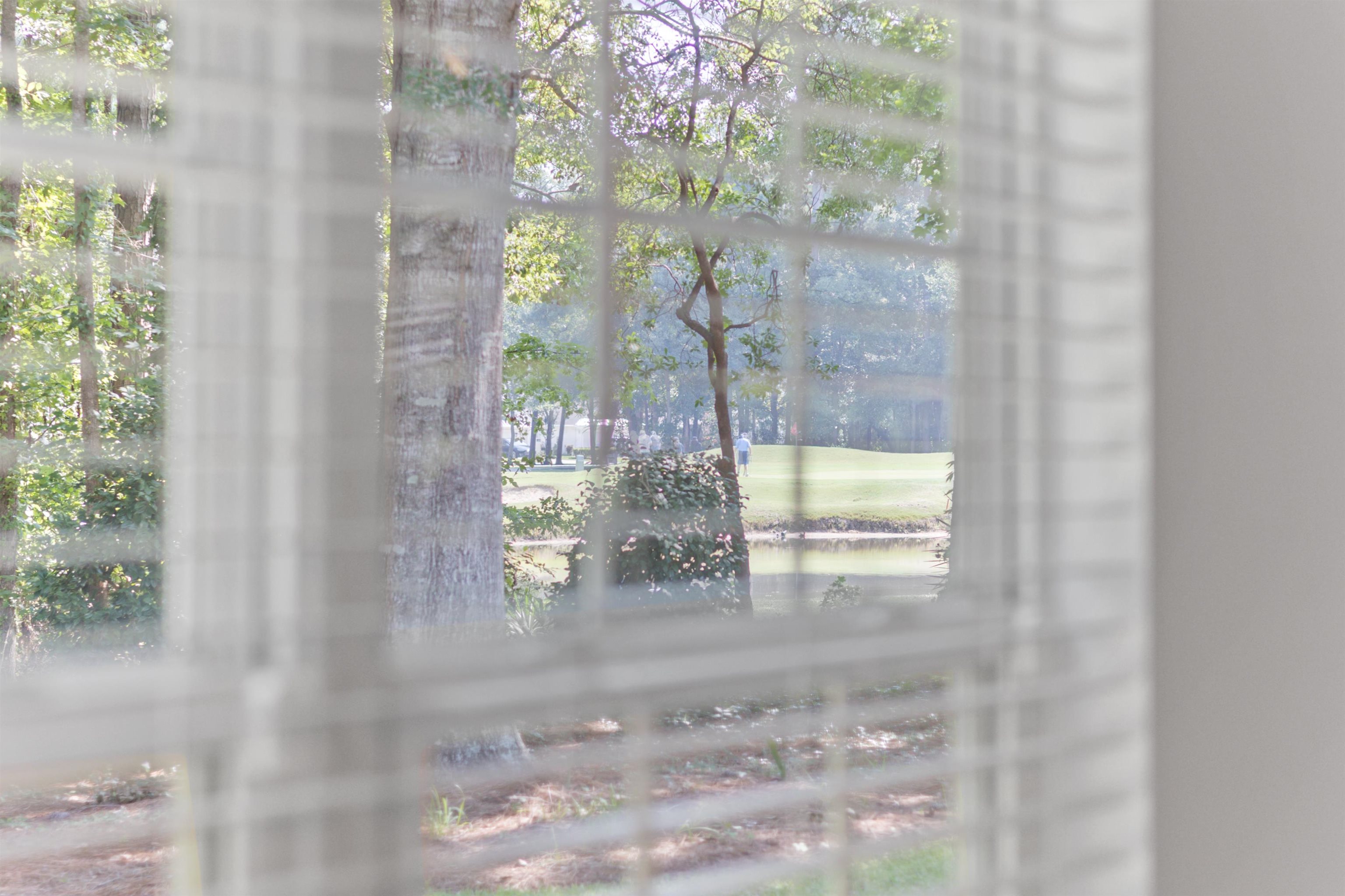 4538 Firethorne Drive Murrells Inlet, SC 29576 - Photo 20 of 96 Gallery Image 20