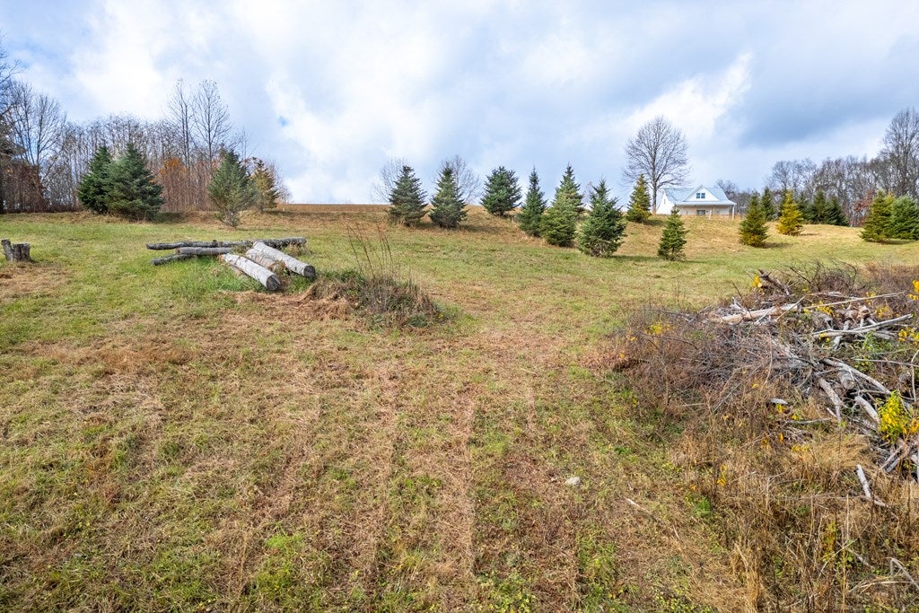 3.8-acre Dogwood Ridge, Unit 2B Fancy Gap, VA 24328 - Photo 17 of 39 Gallery Image 17