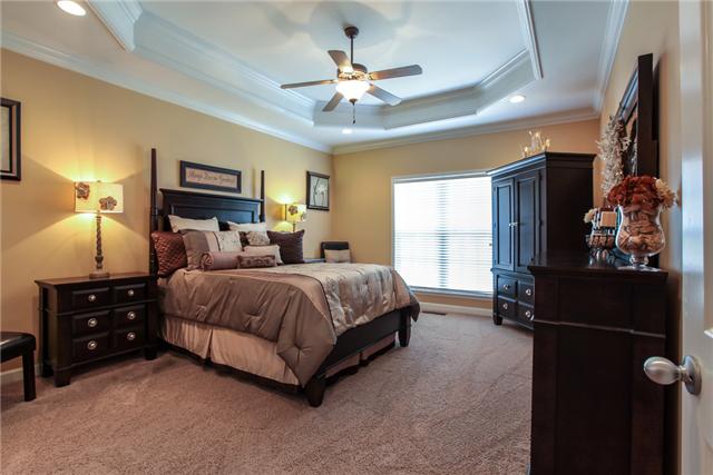 1012 Red Pepper Ridge Spring Hill, TN 37174 - Photo 10 of 20 Spacious Downstairs Master With Trey Ceiling.